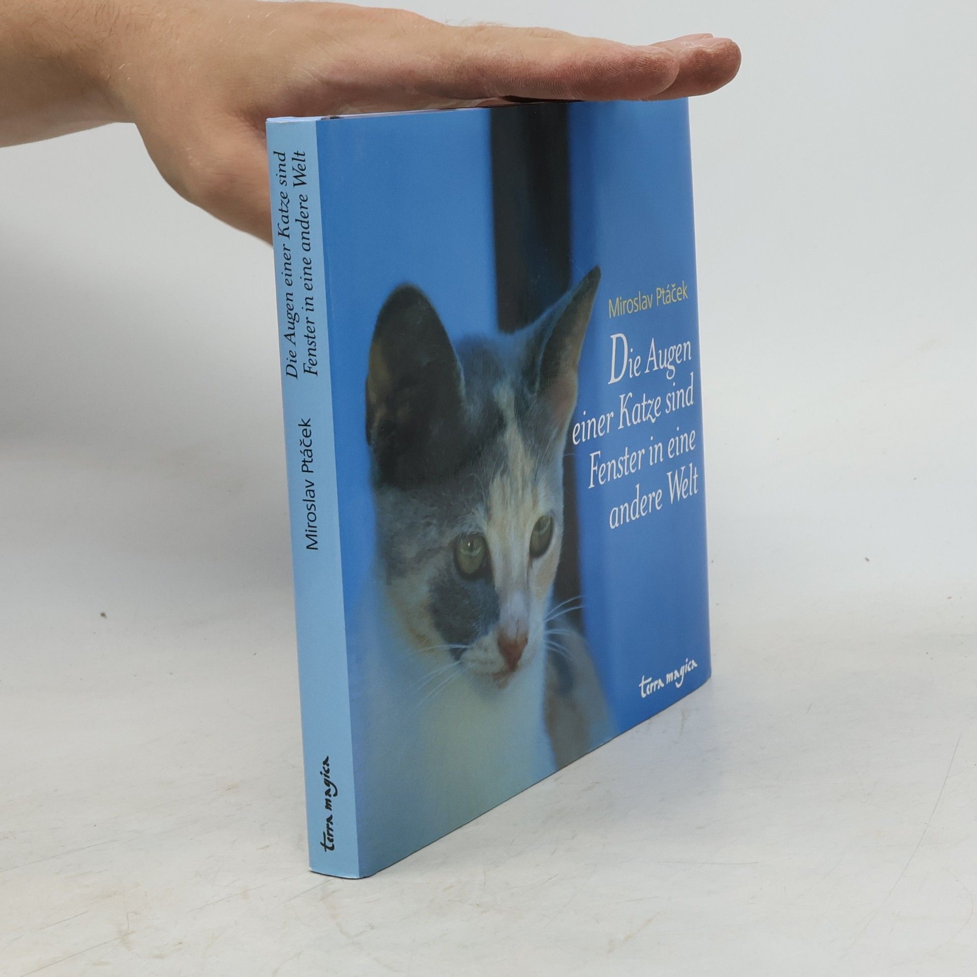 Die Augen einer Katze sind Fenster in eine andere Welt
