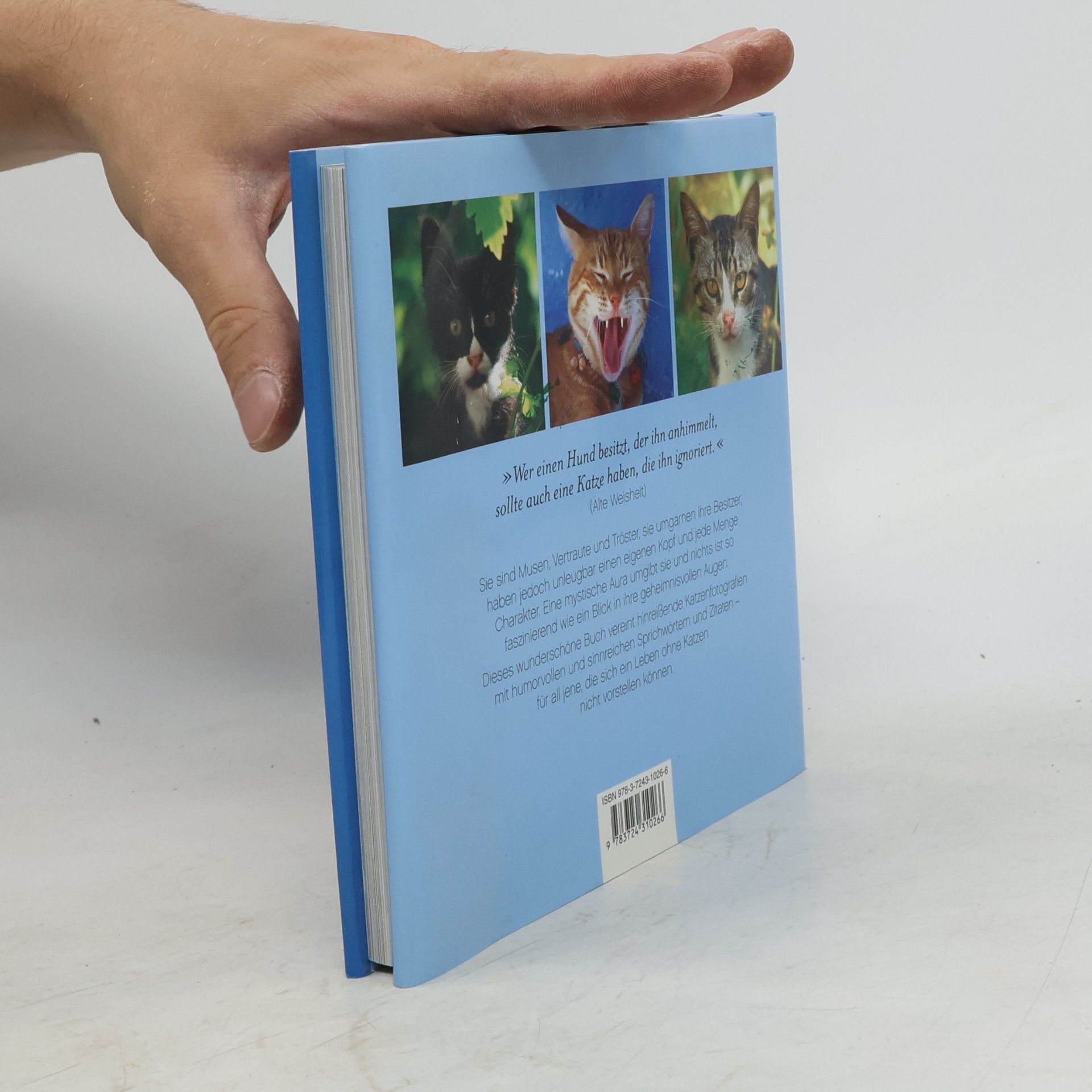 Miroslav Ptáček Die Augen einer Katze sind Fenster in eine andere Welt