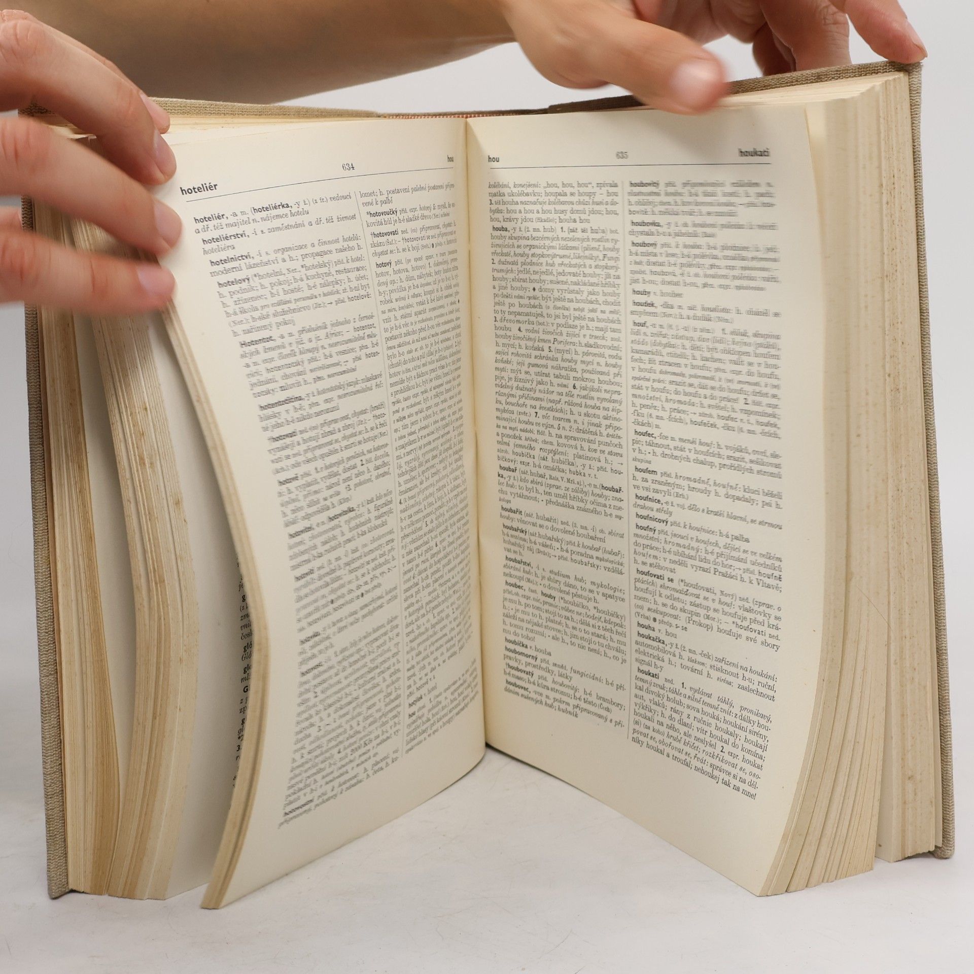 Autorenkollektiv Slovník spisovného jazyka českého I. A-M