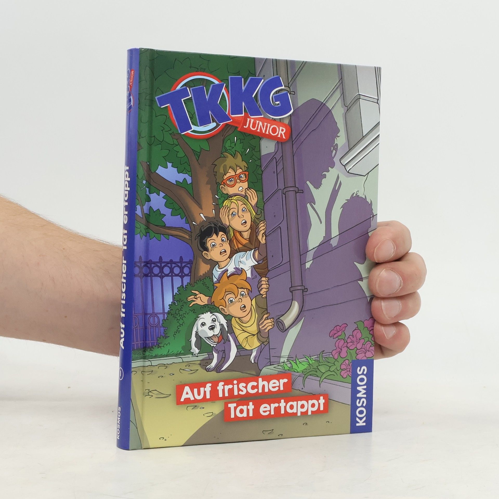Kirsten Vogel TKKG Junior - auf frischer Tat ertappt