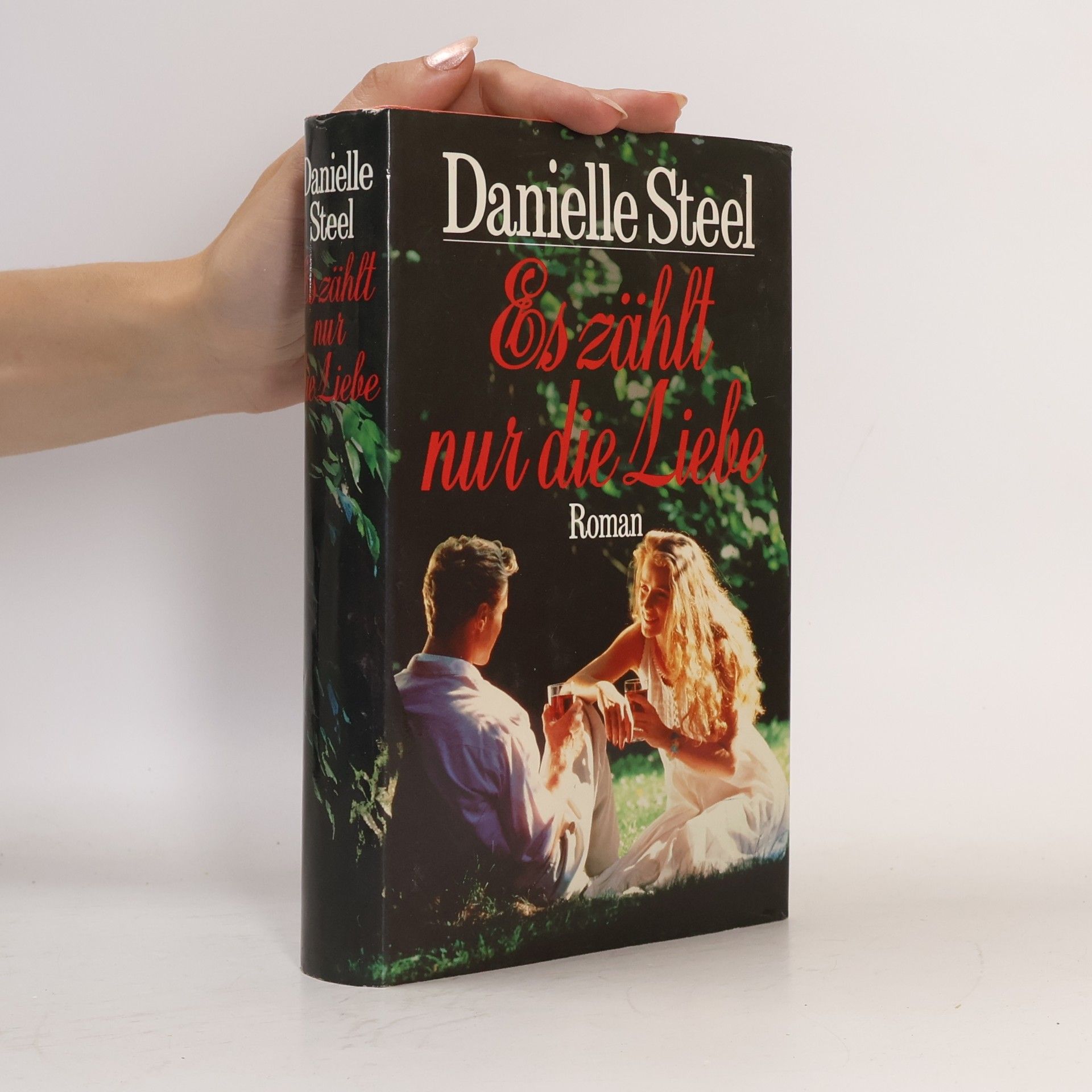 Danielle Steel Es zählt nur die Liebe