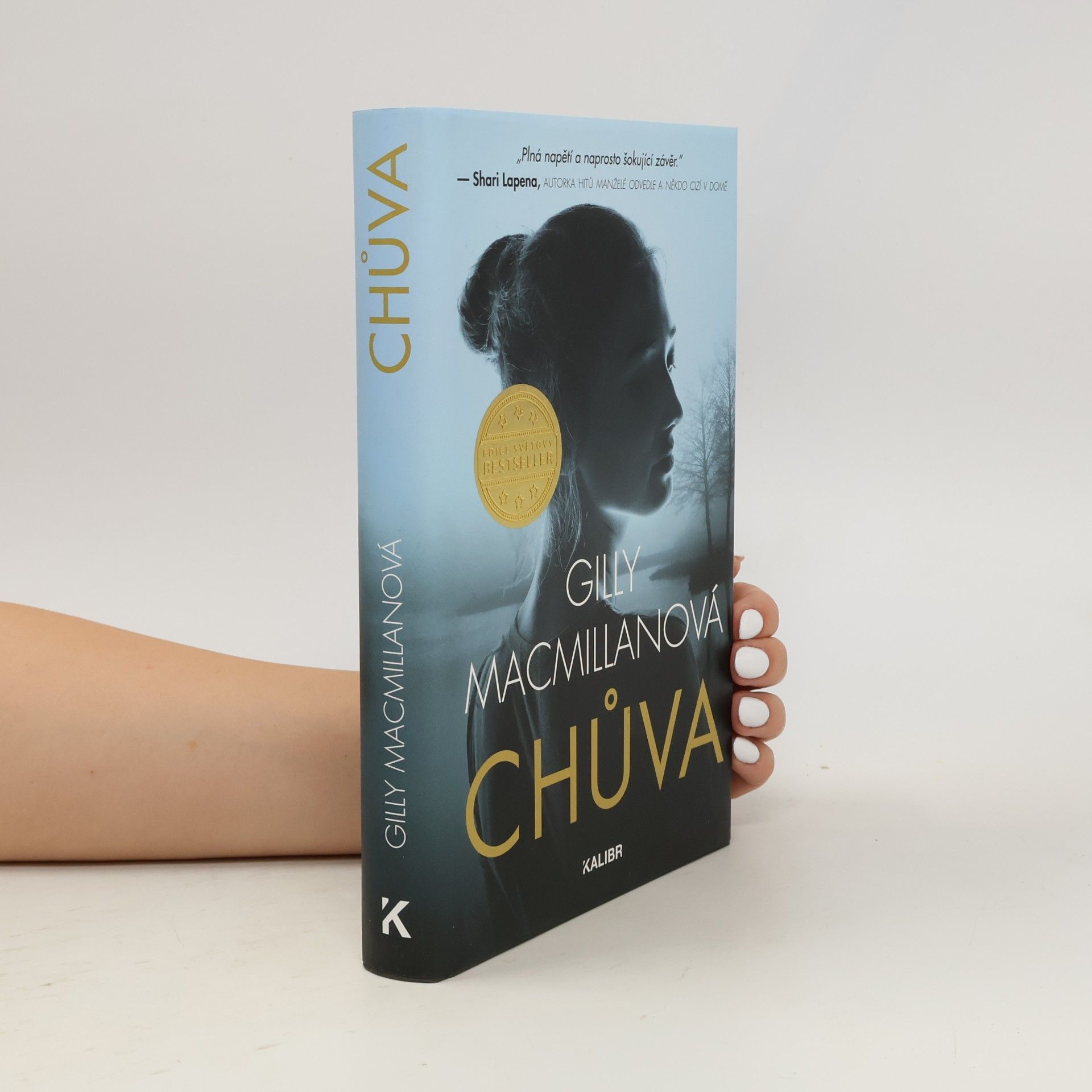 Gilly Macmillan Chůva