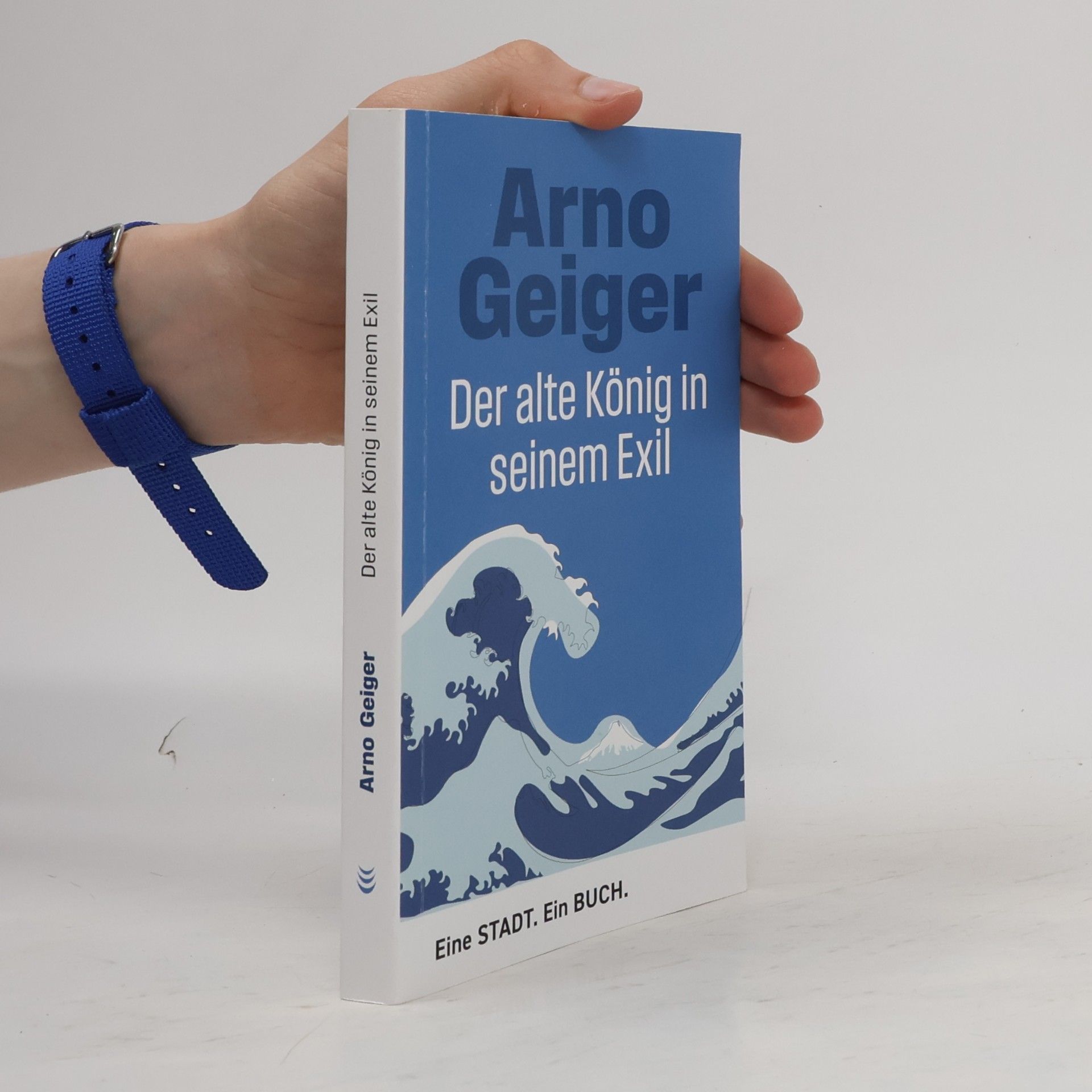 Arno Geiger Der Alte König in seinem Exil