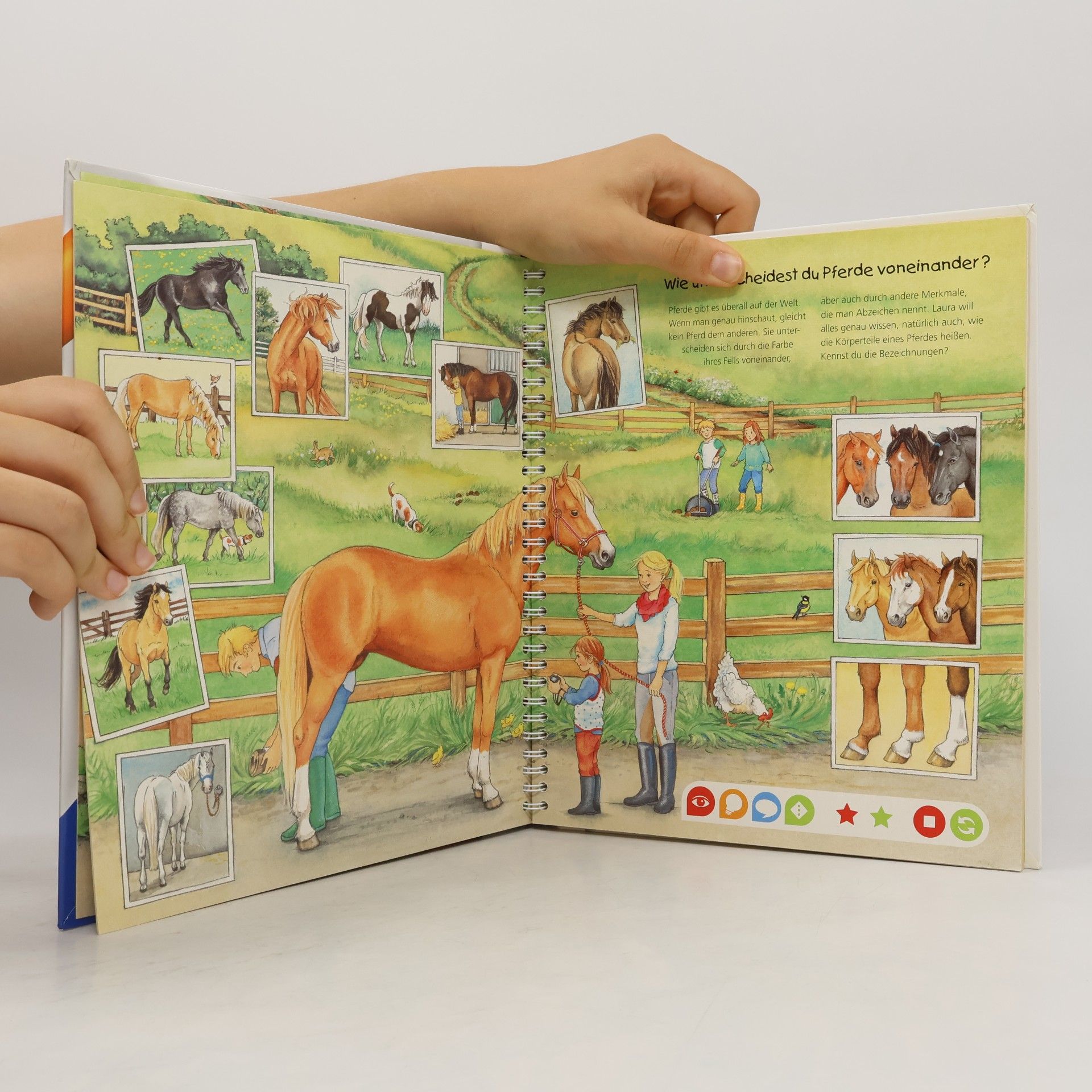 Melanie Brockamp Die Welt der Pferde und Ponys