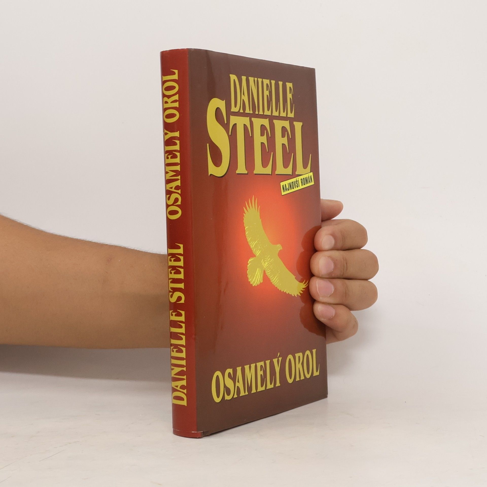 Danielle Steelová Osamelý orol