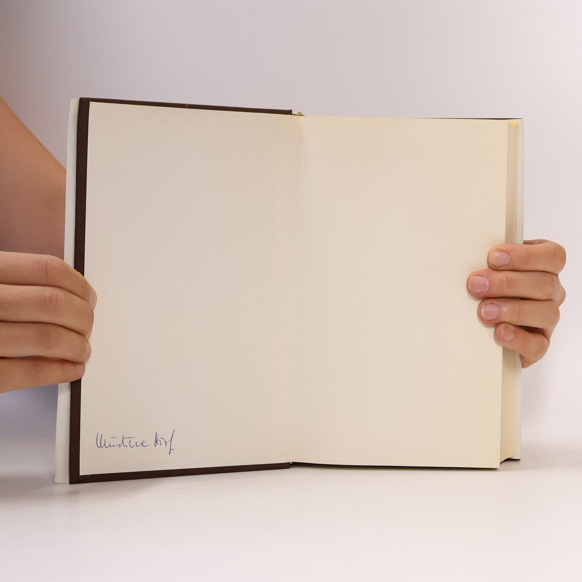 Thomas Mann Sämtliche Erzählungen