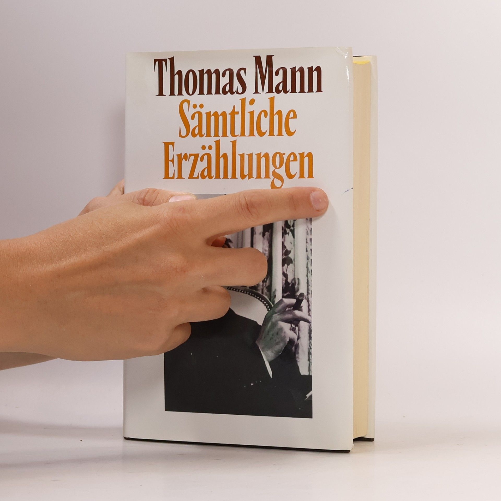 Thomas Mann Sämtliche Erzählungen