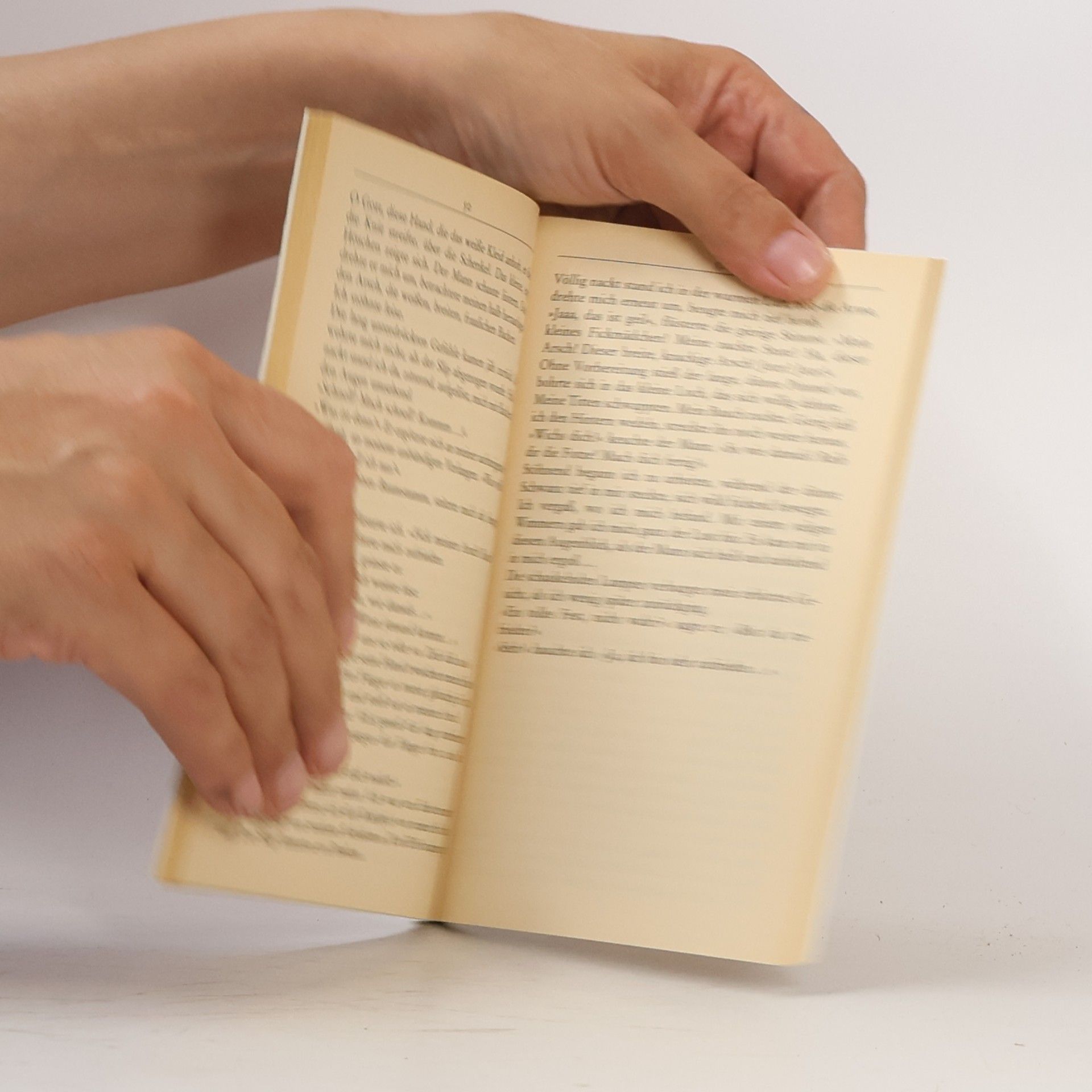 Autorenkollektiv Die zweifarbige Perle