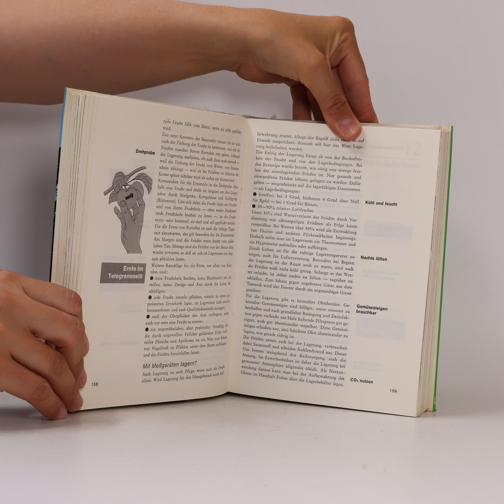 Autorenkollektiv Gartenbuch für Freizeitgärtner