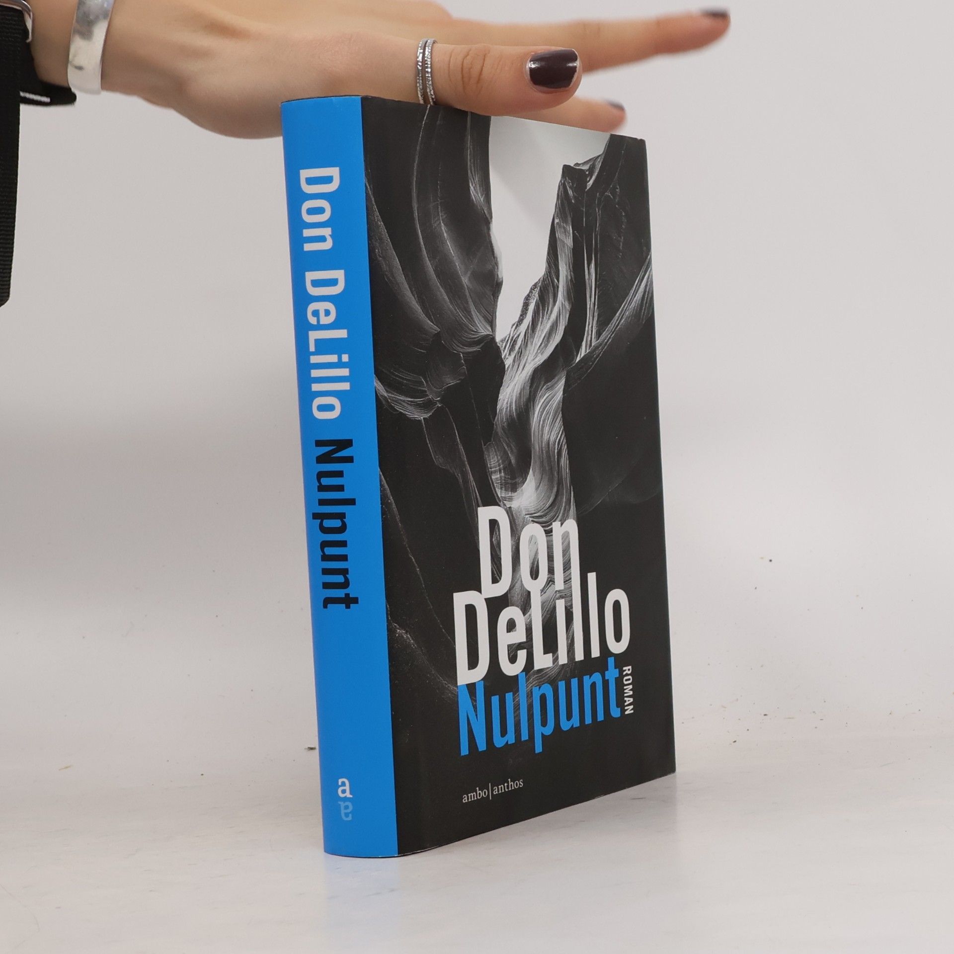 Don DeLillo Nulpunt