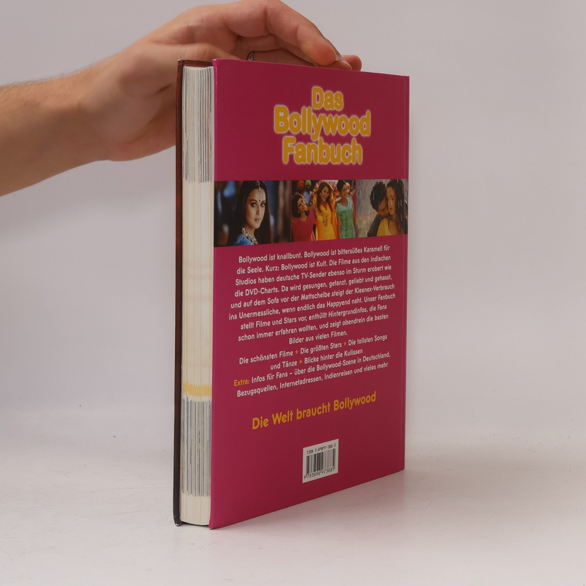 Louis Saul Das Bollywood-Fanbuch