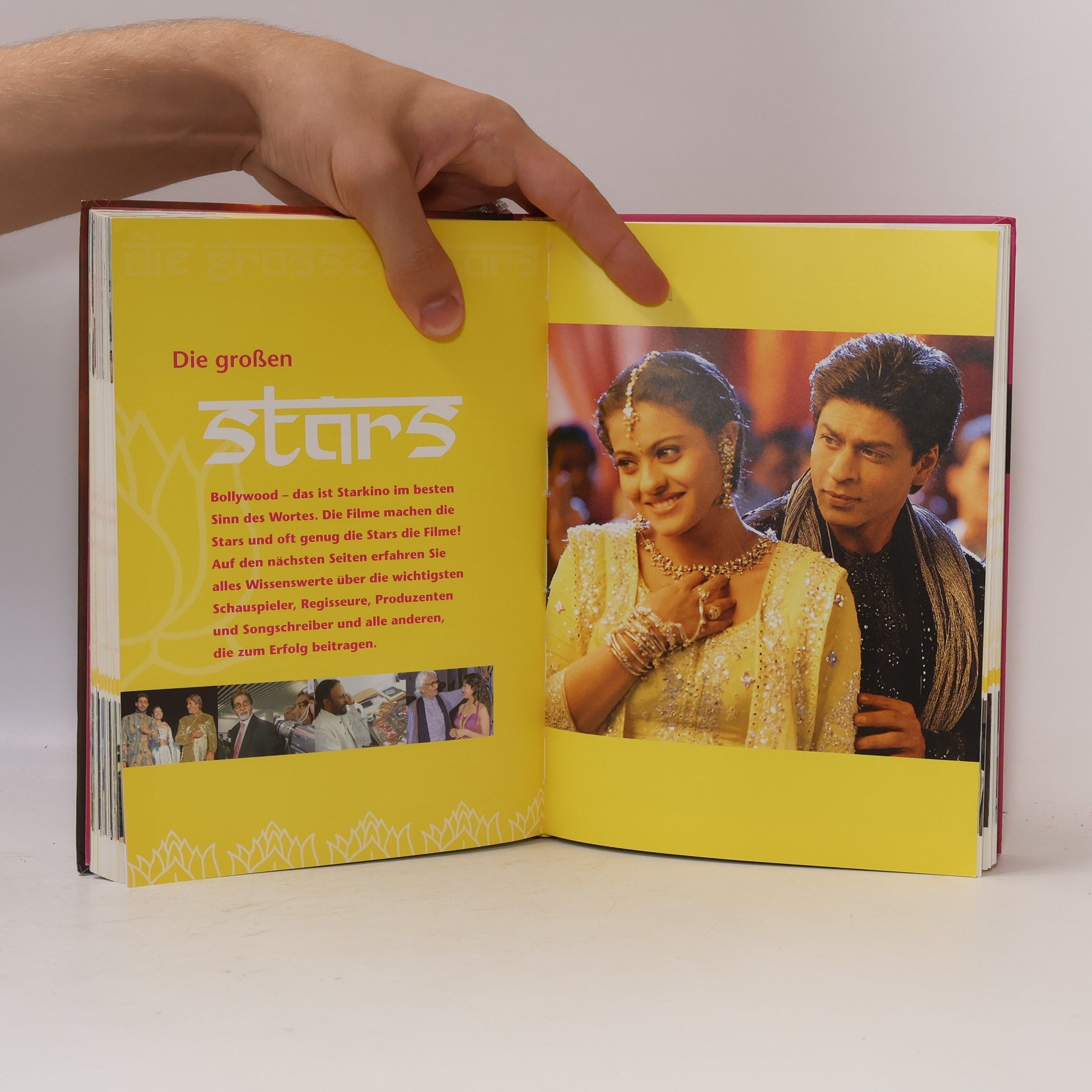 Louis Saul Das Bollywood-Fanbuch
