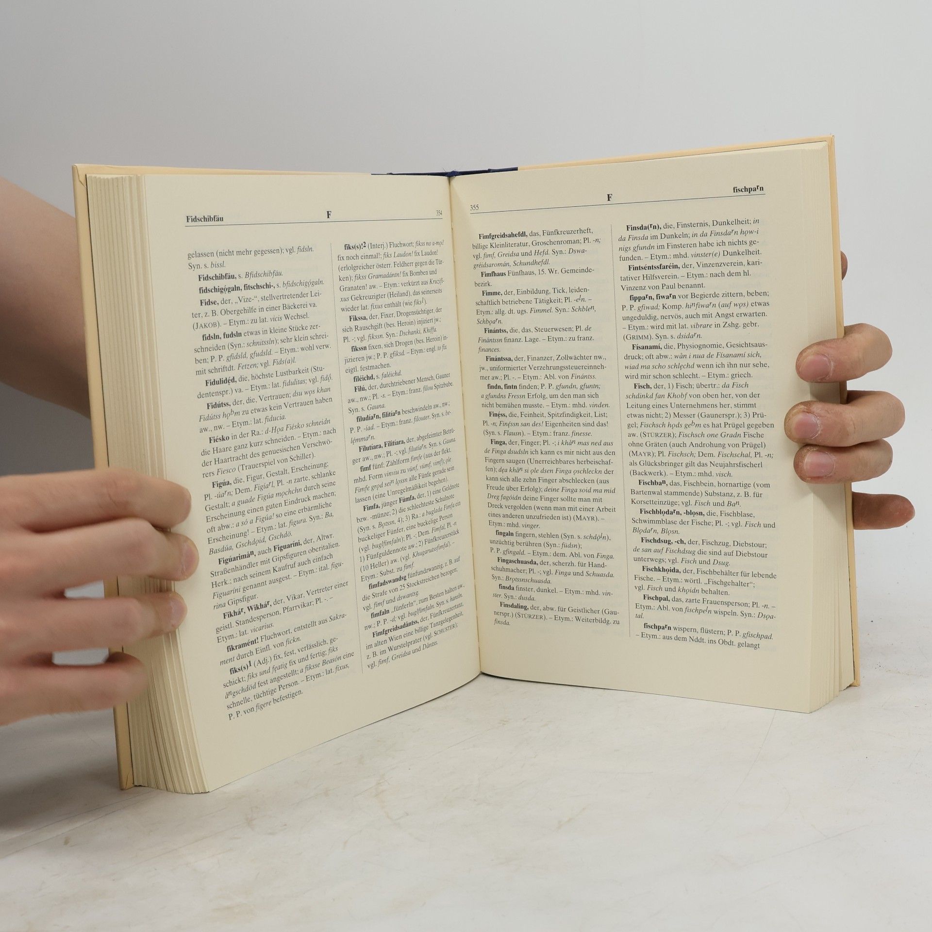 Maria Hornung Wörterbuch der Wiener Mundart
