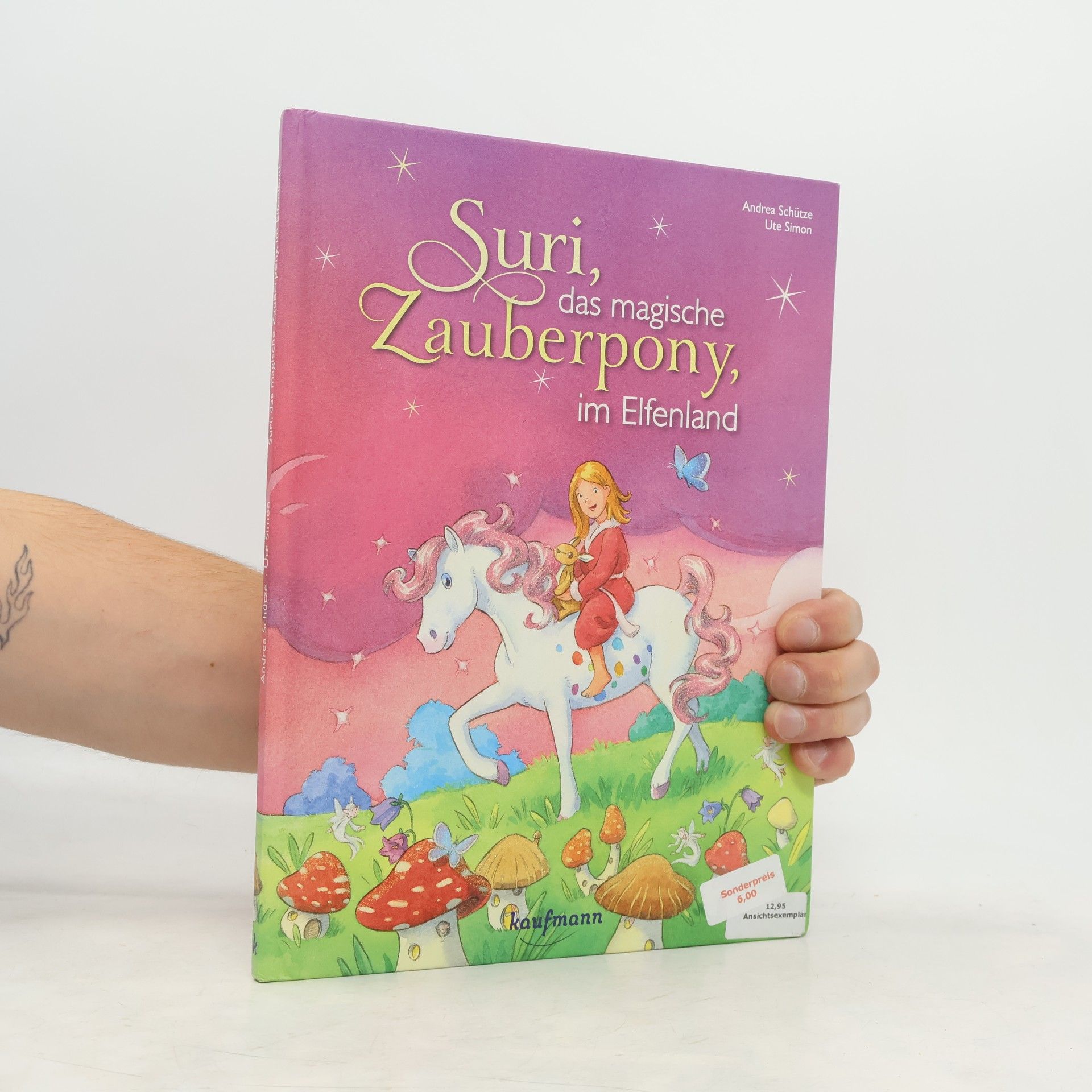 Andrea Schütze Suri, das magische Zauberpony, im Elfenland