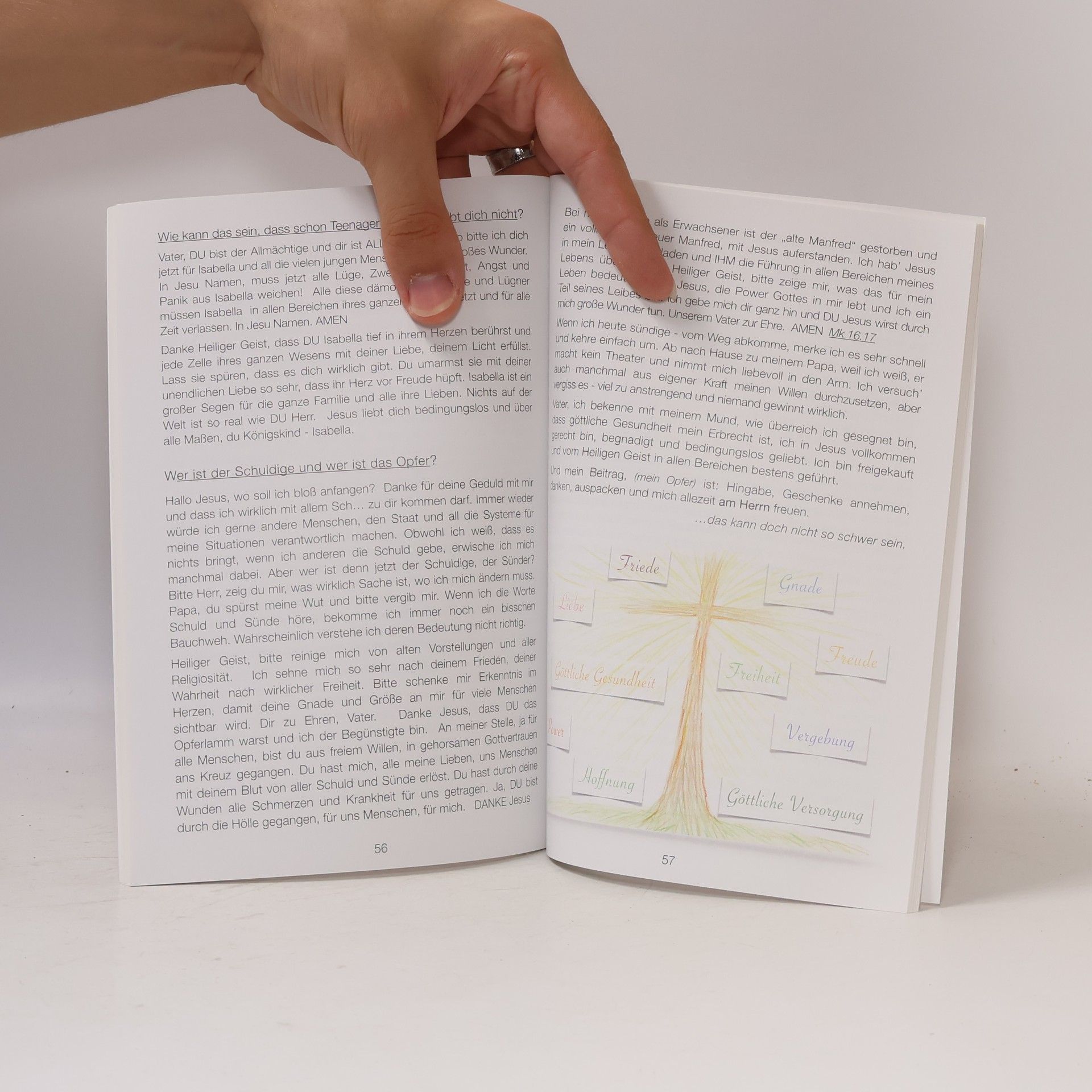 Manfred Wohlgenannt Das Buch, das dein Leben verändert