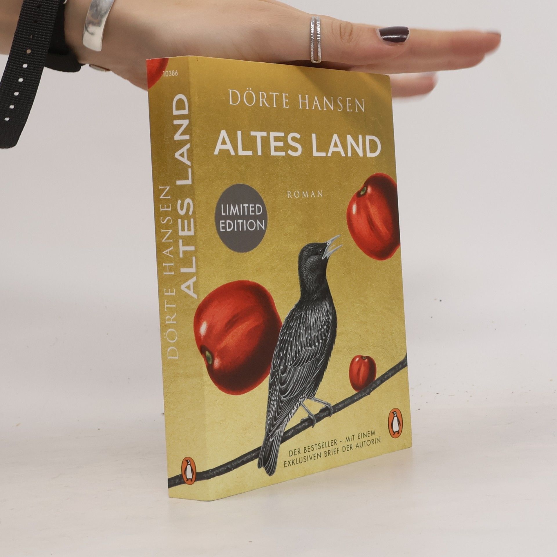 Dörte Hansen Altes Land