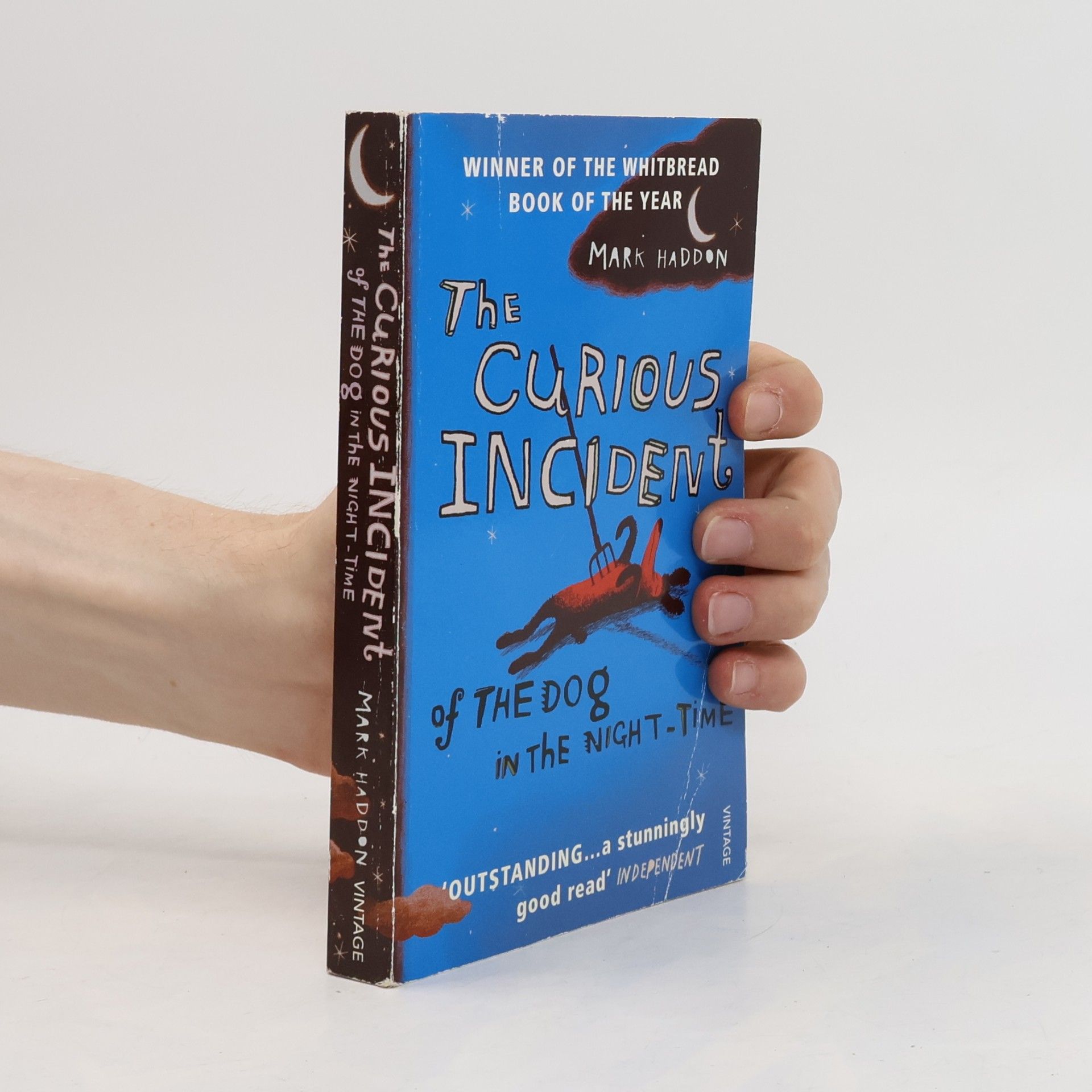 Mark Haddon The Curious Incident of The Dog in The Night-Time
