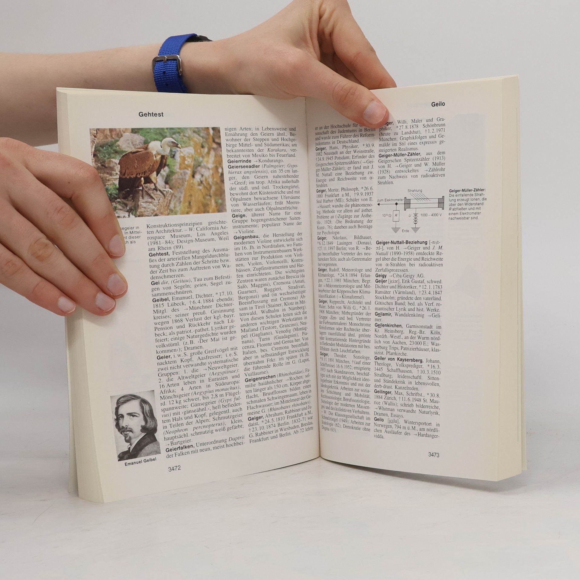 Autorenkollektiv Goldmann Lexikon. Band 8, Frau - Gnat