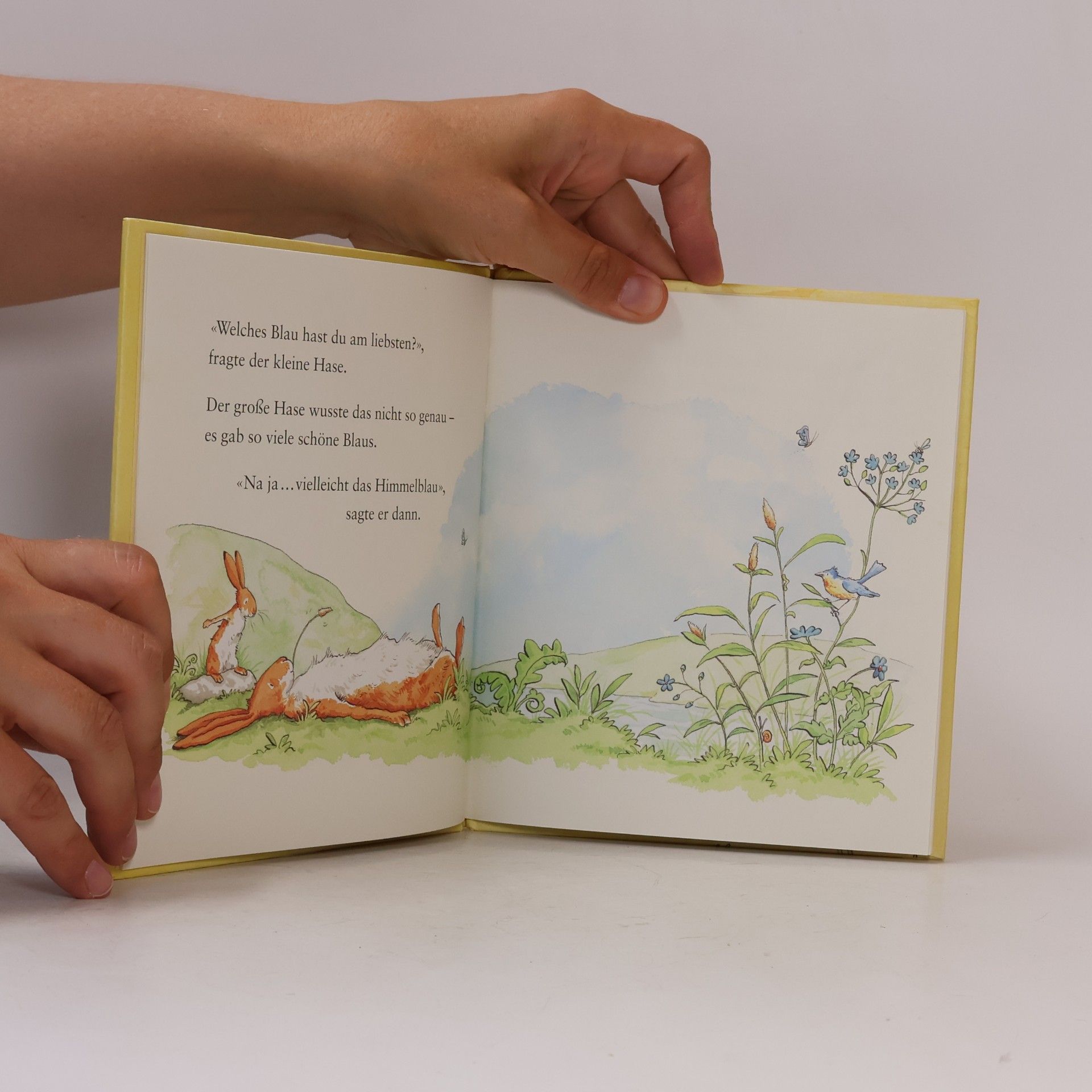 Anita Jeram Weißt du eigentlich, wie lieb ich dich hab? Wenn die Schmetterlinge tanzen