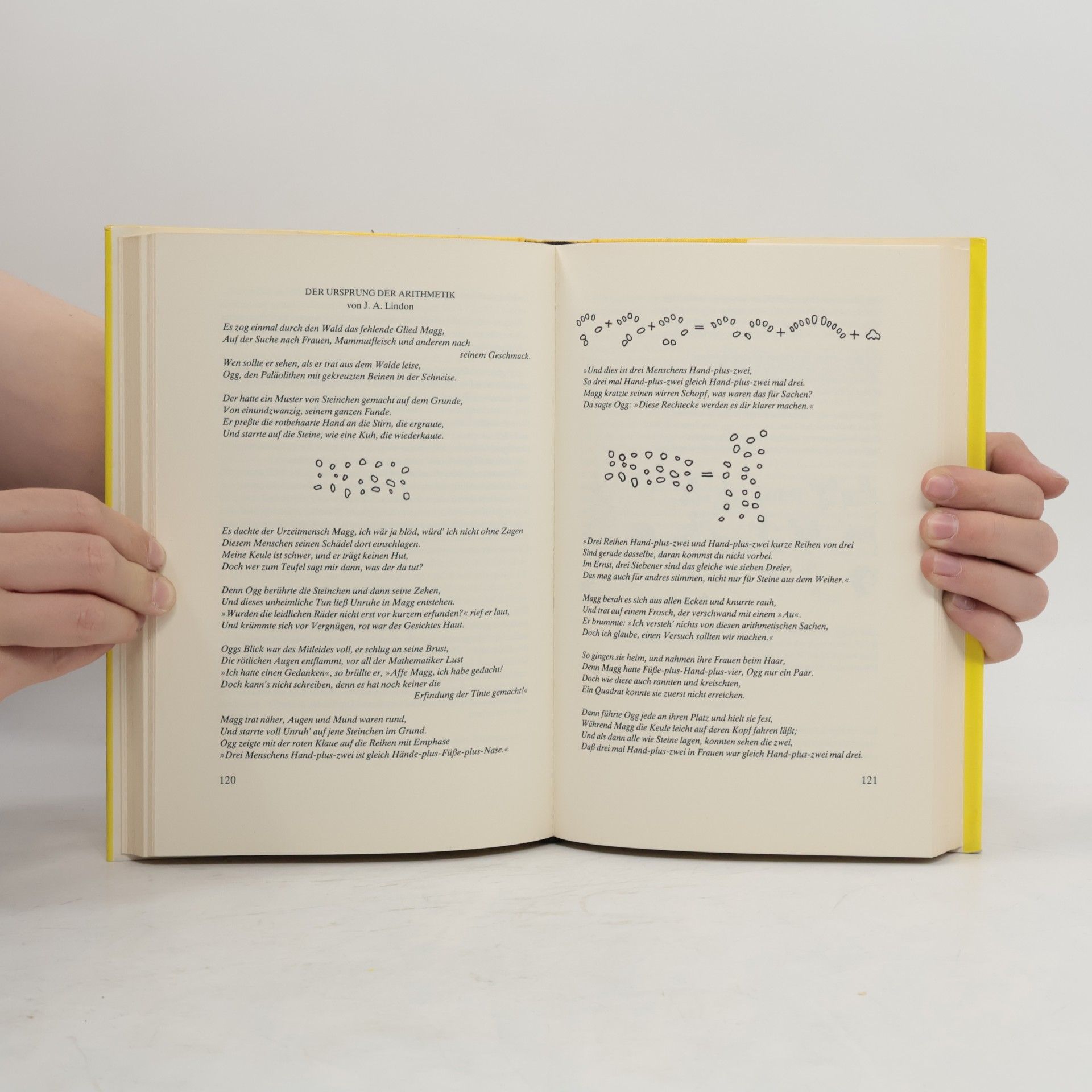 Martin Gardner Mathematische Hexereien