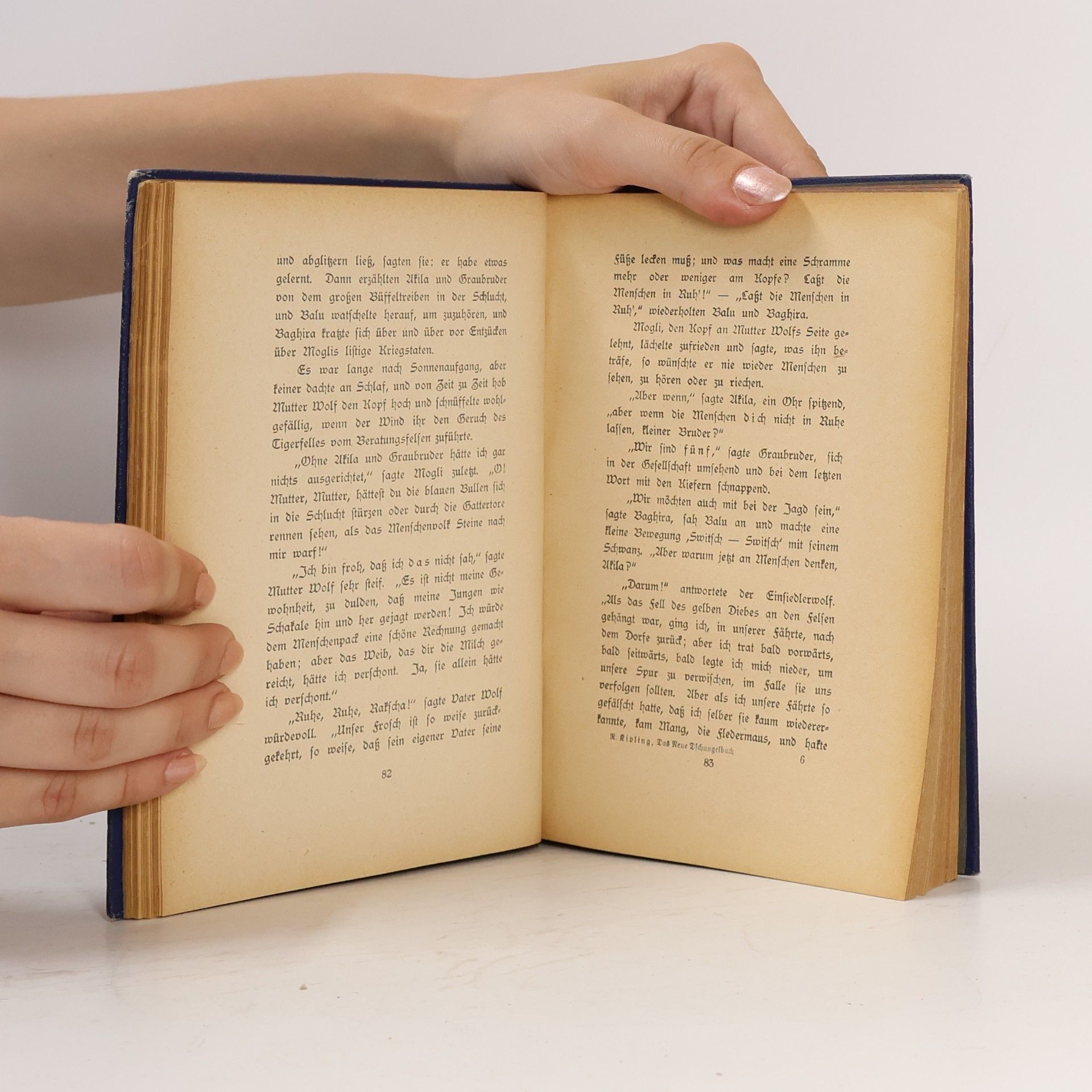 Rudyard Kipling Das neue Dschungelbuch