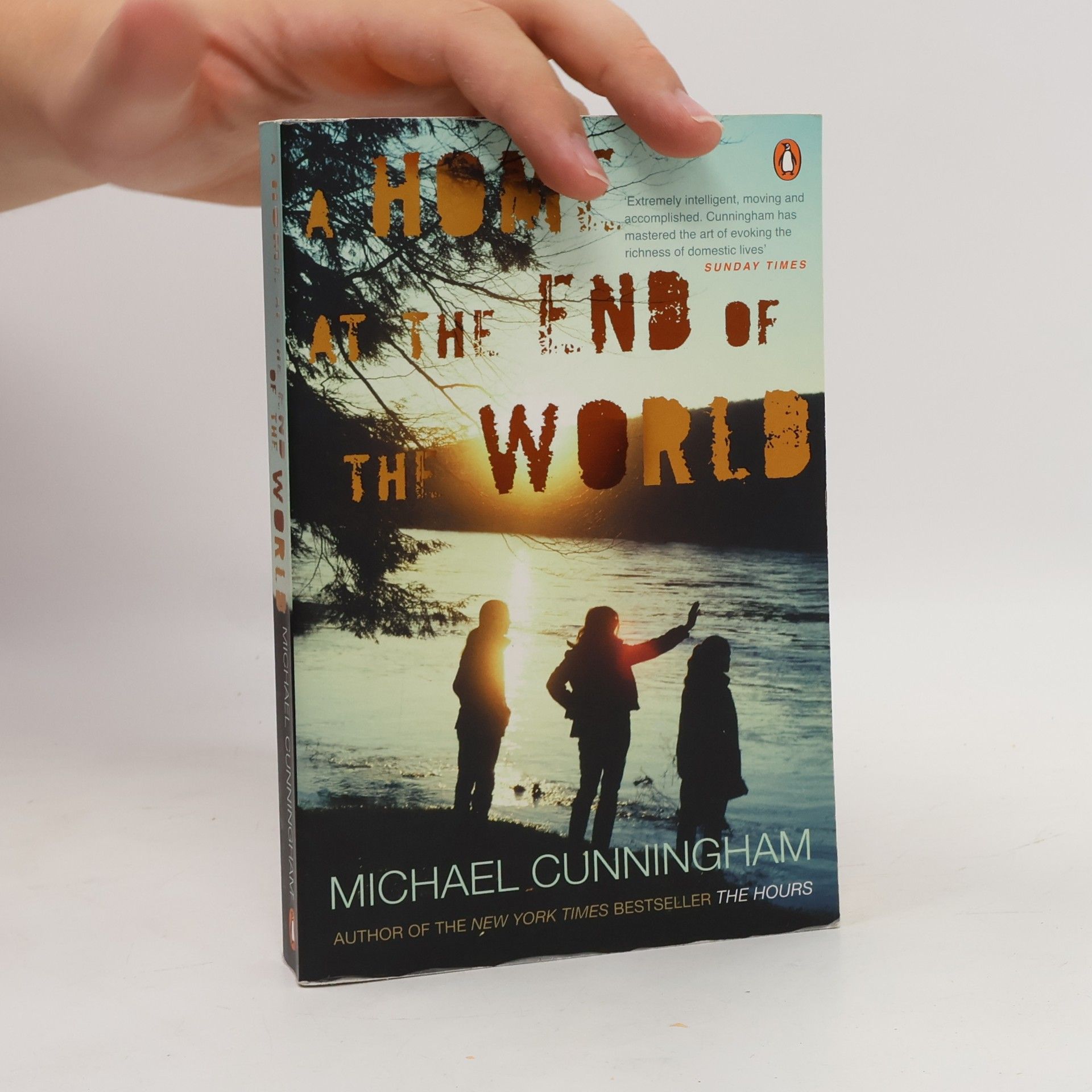Michael Cunningham A Home at the End of the World