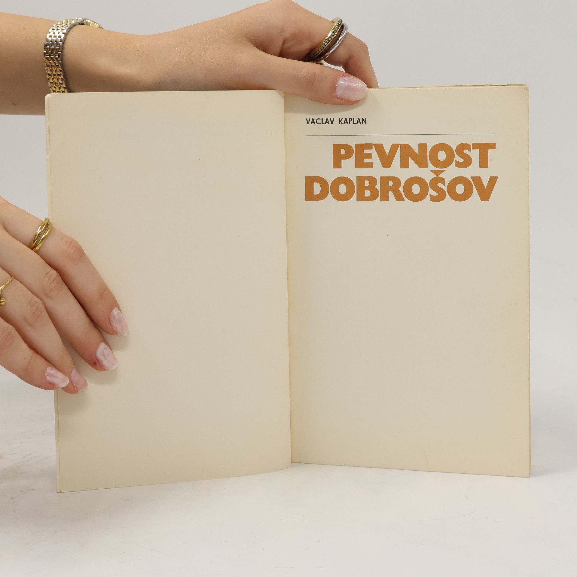 Autorenkollektiv Pevnost Dobrošov