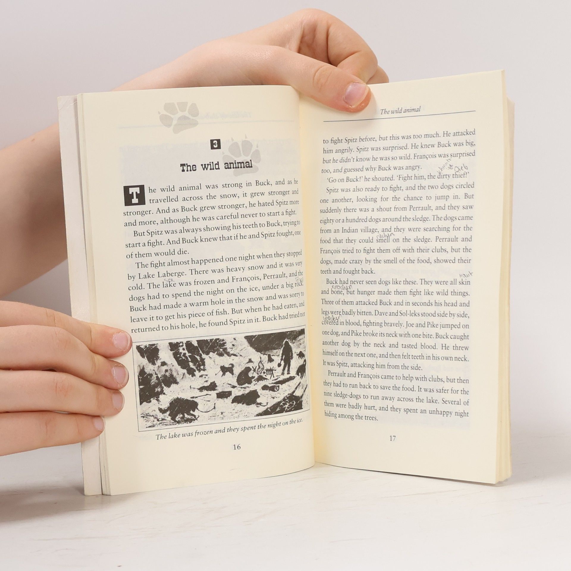 Jack London The Call of the Wild