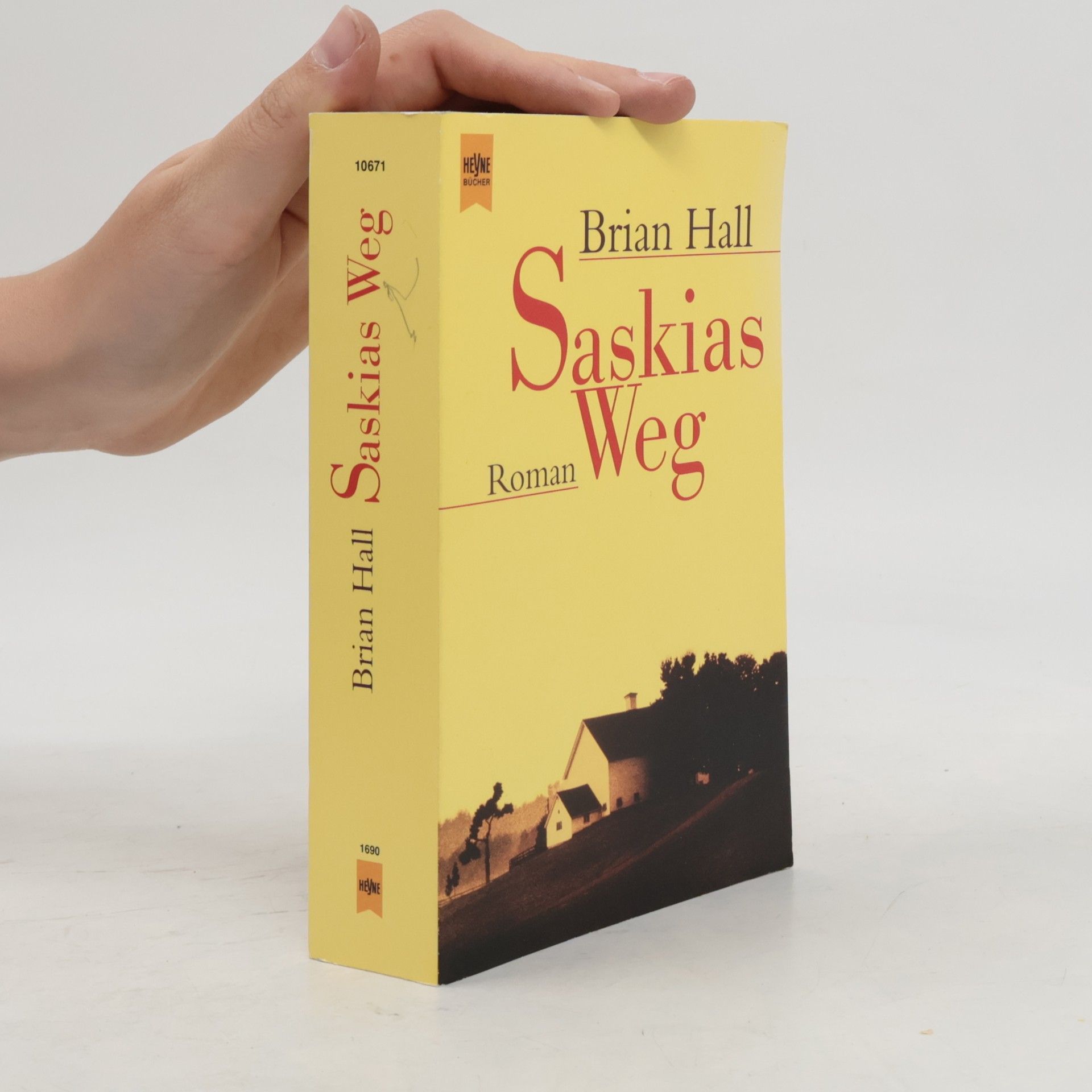 Brian Hall Saskias Weg