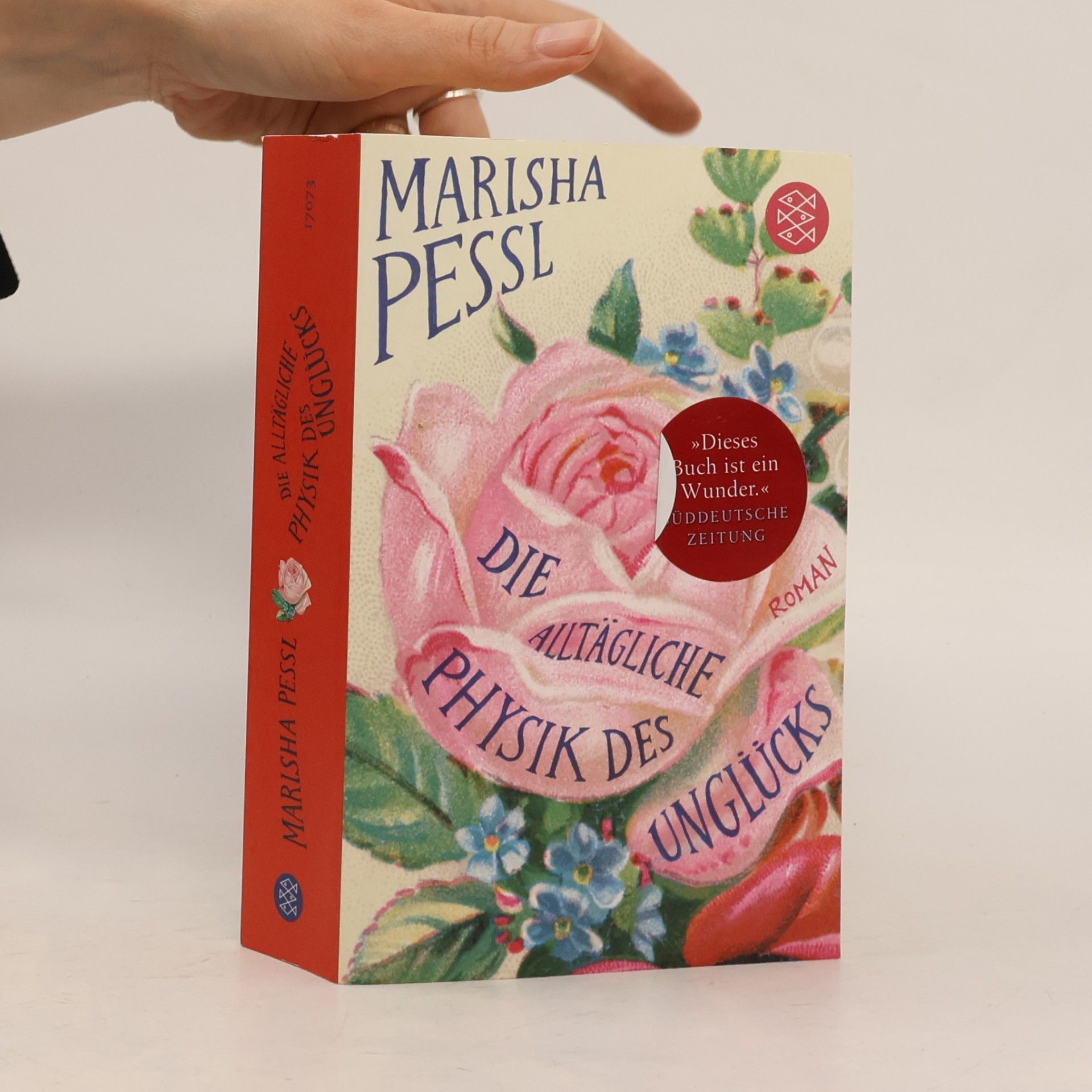 Marisha Pessl Die alltägliche Physik des Unglücks