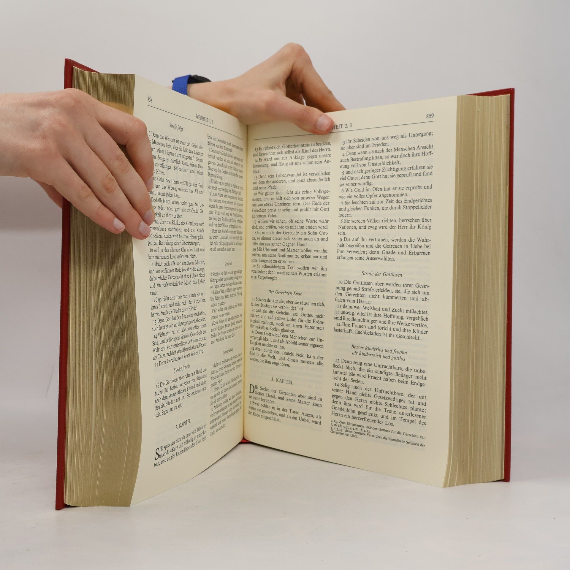 Kolektiv autorů Die heilige Schrift