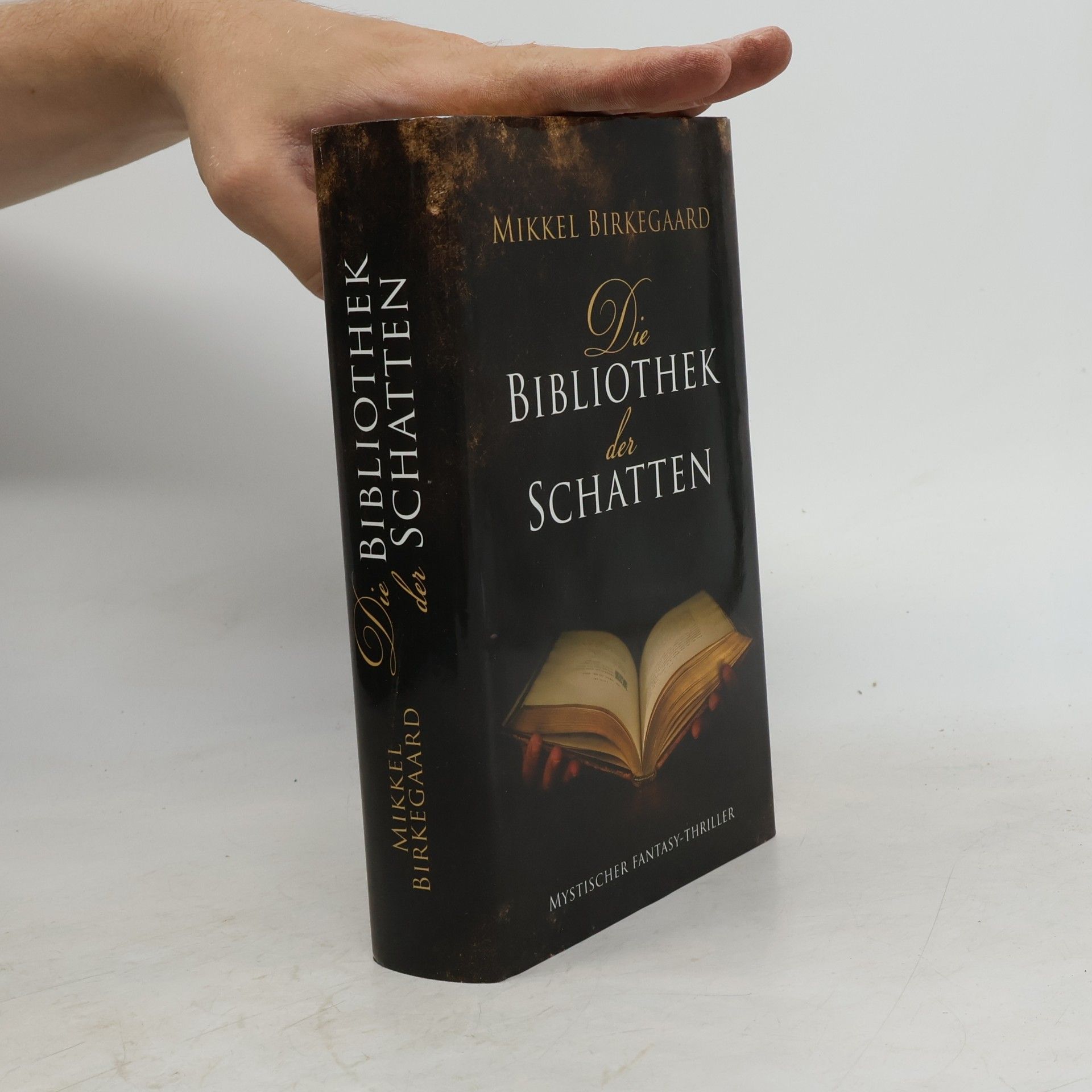 Mikkel Birkegaard Die Bibliothek der Schatten Mikkel Birkegaard