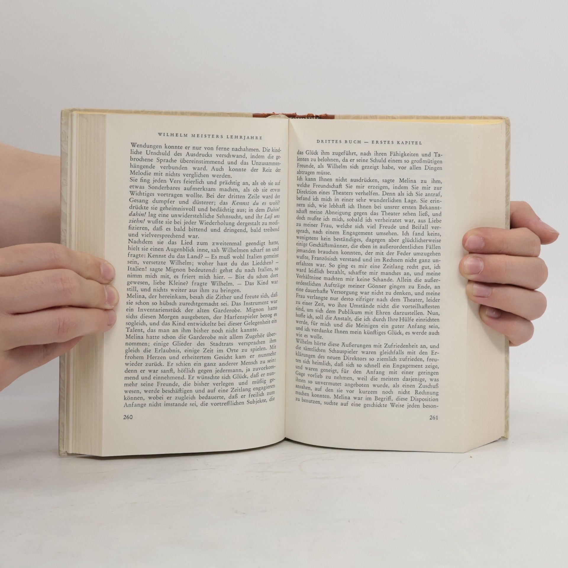 Johann Wolfgang von Goethe Gesammelte Werke 4