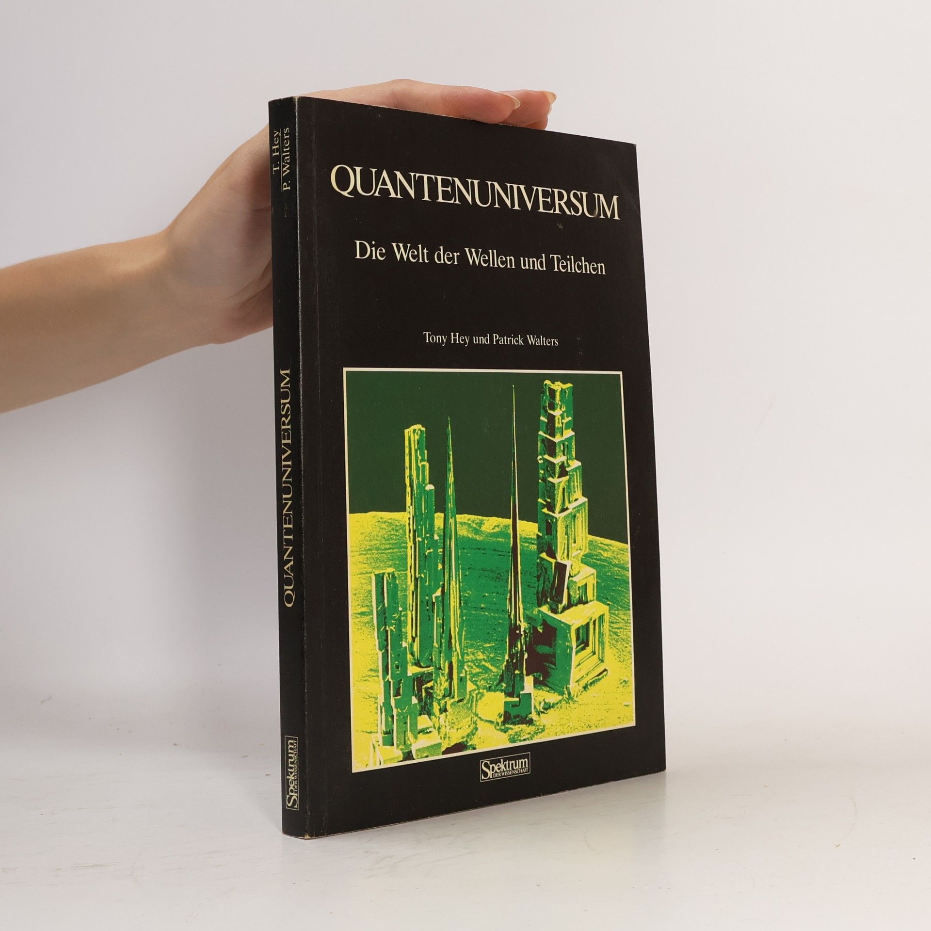Anthony J. G. Hey Quantenuniversum
