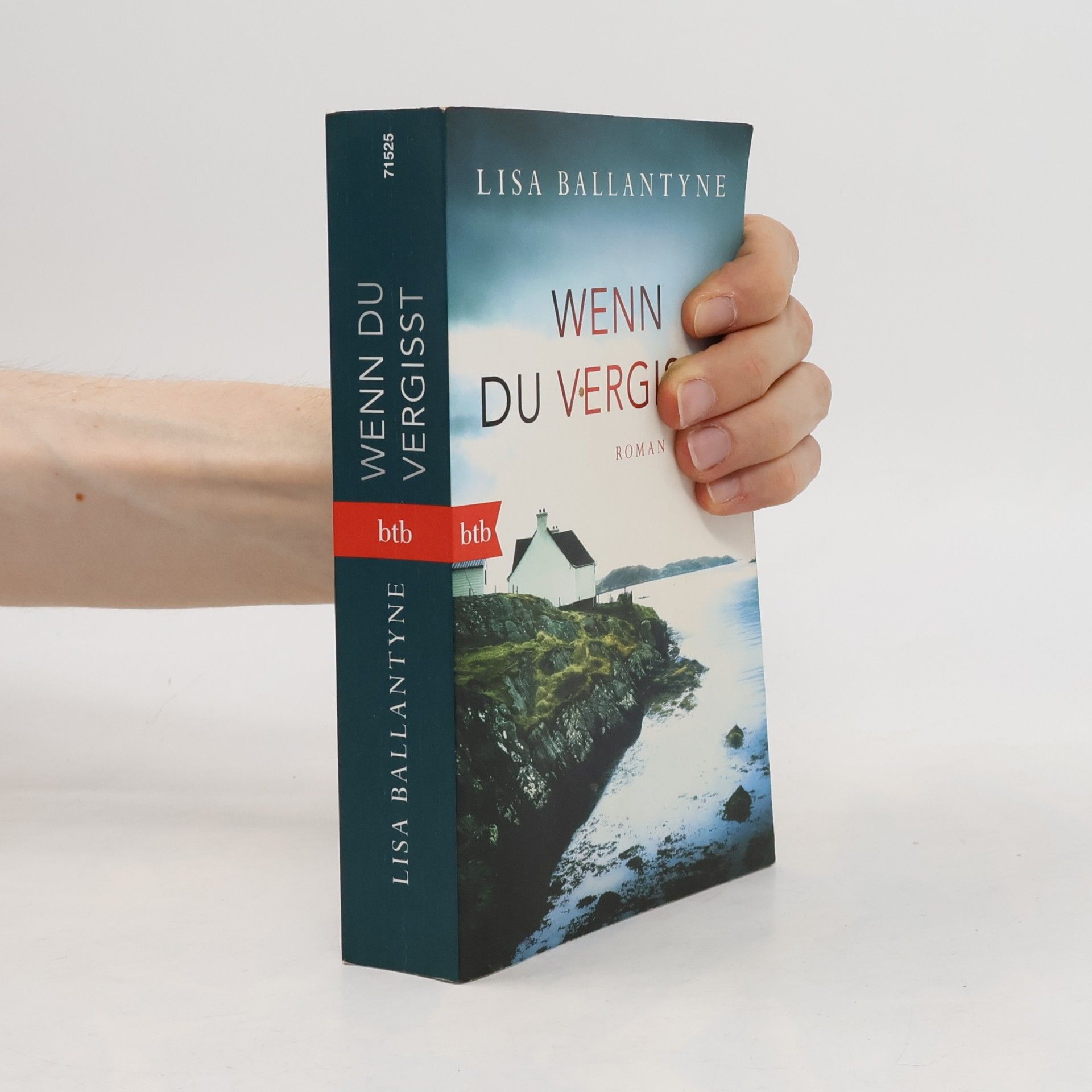 Lisa Ballantyne Wenn du vergisst
