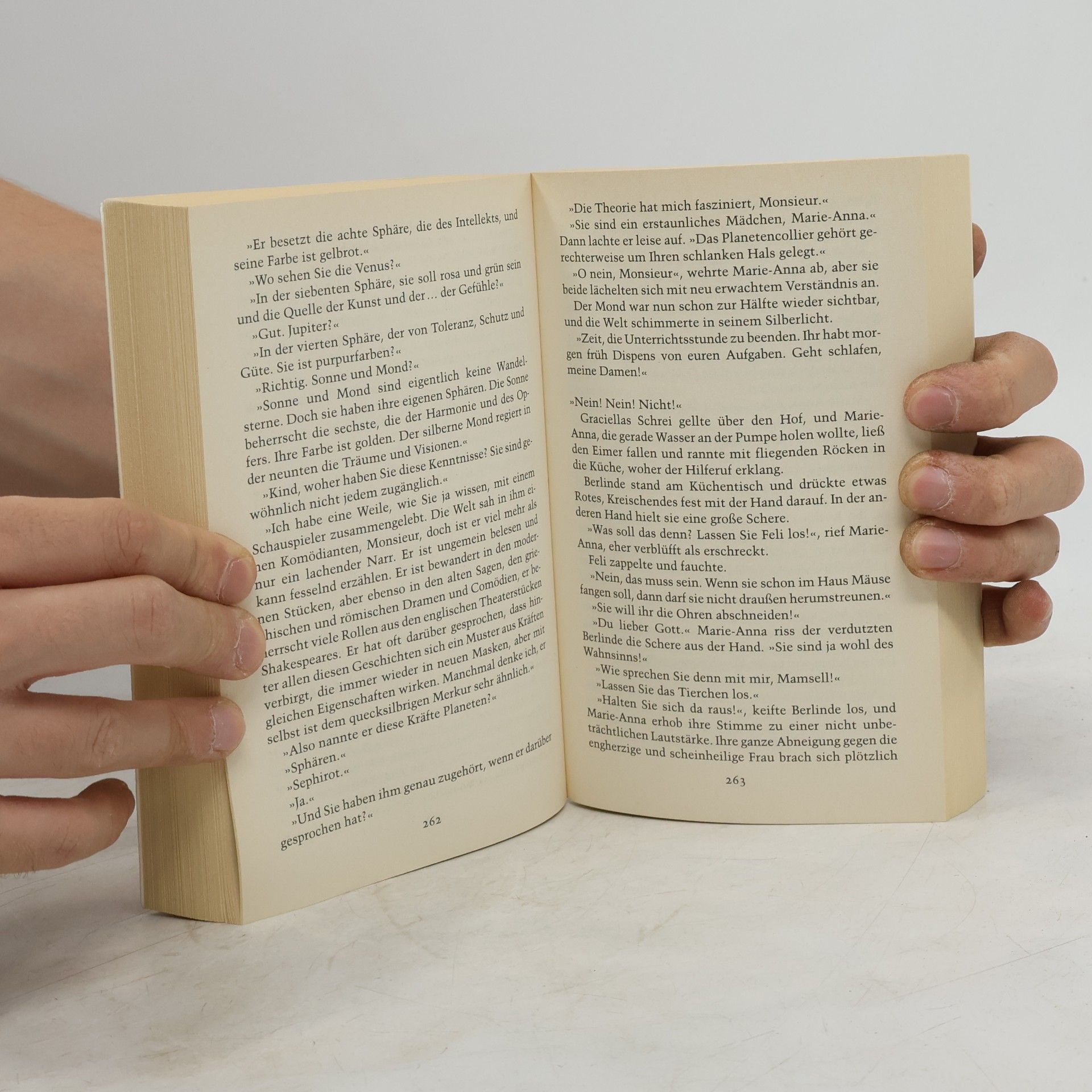 Andrea Schacht Der Lilienring