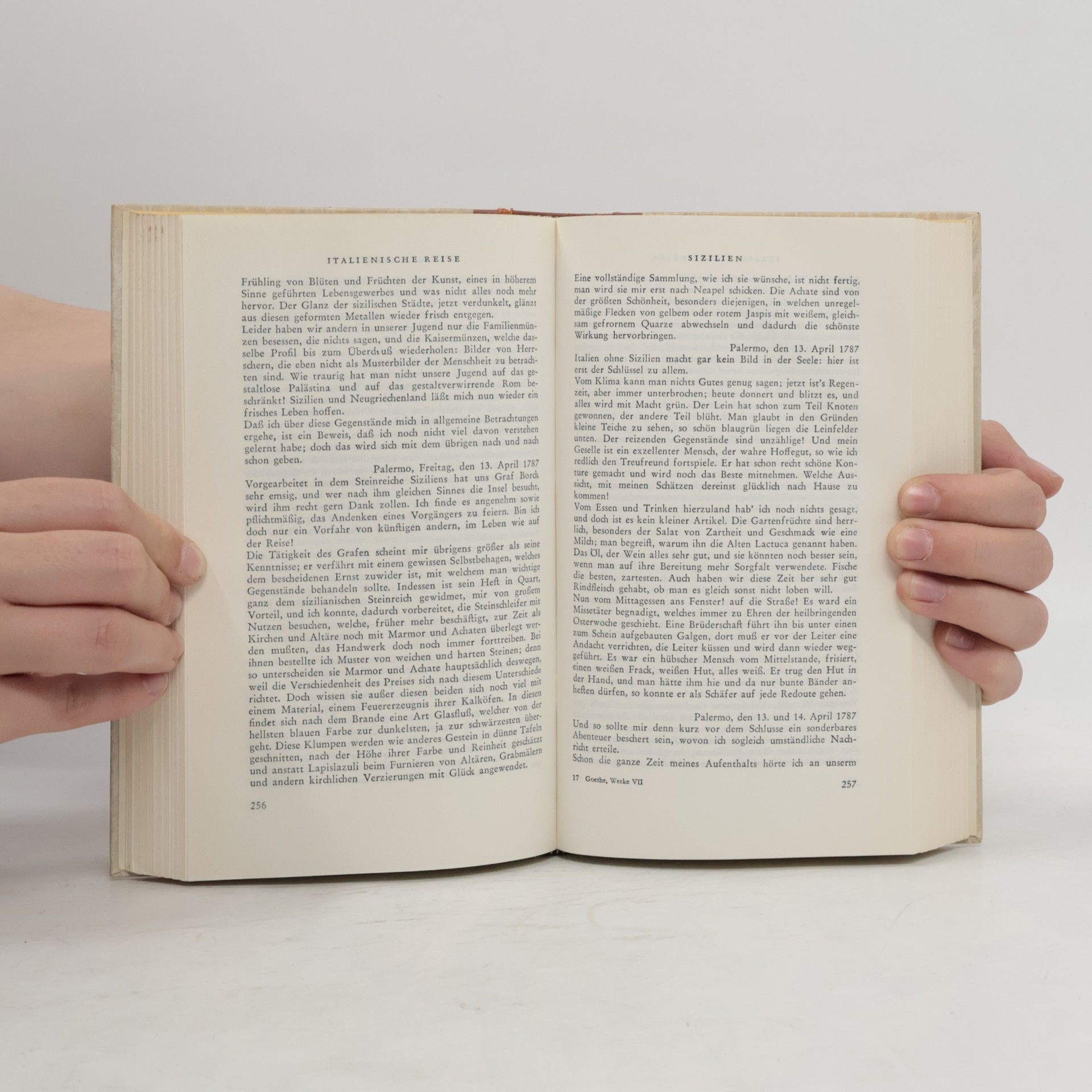 Johann Wolfgang von Goethe Gesammelte Werke 7