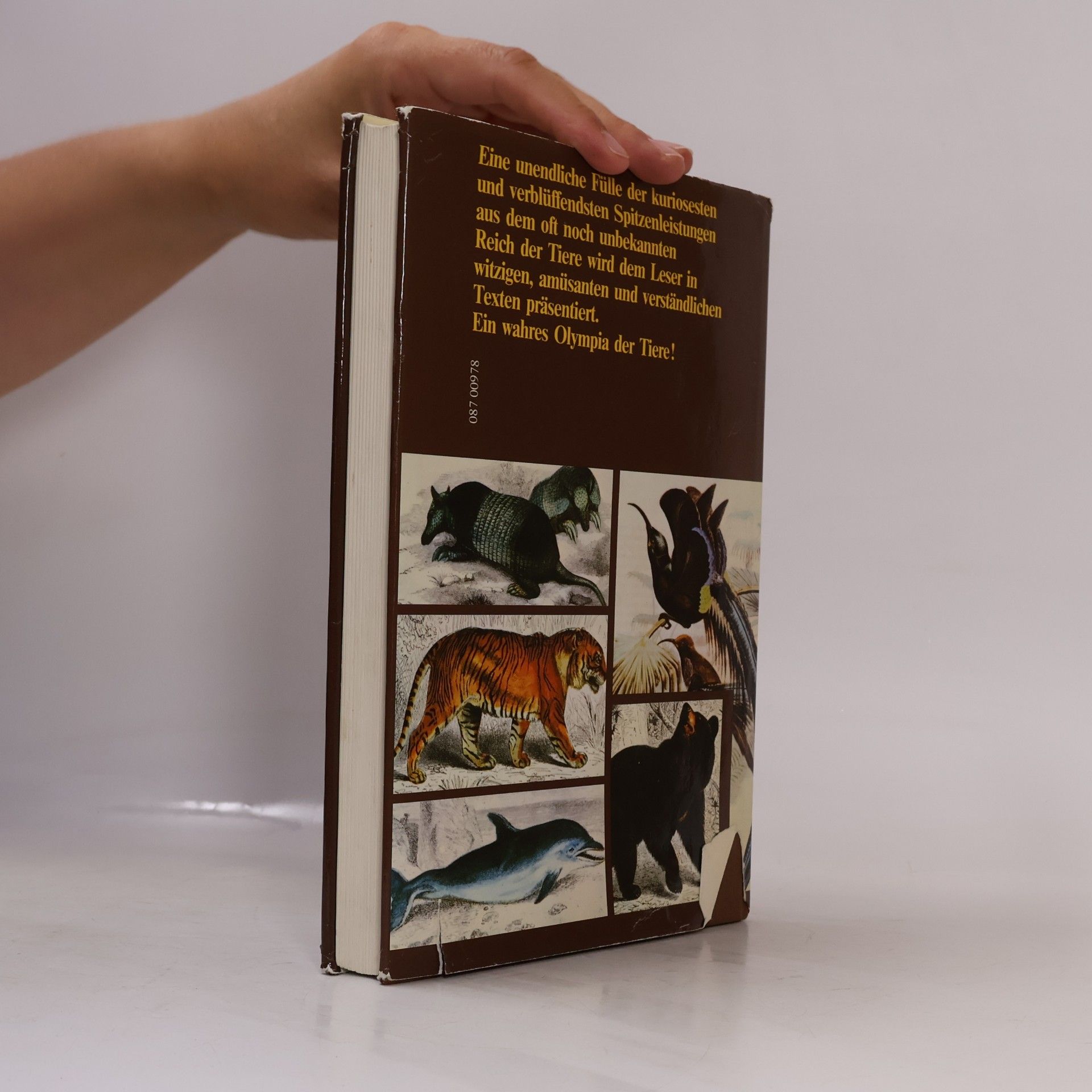 Daniel Mann Rekorde der Tierwelt