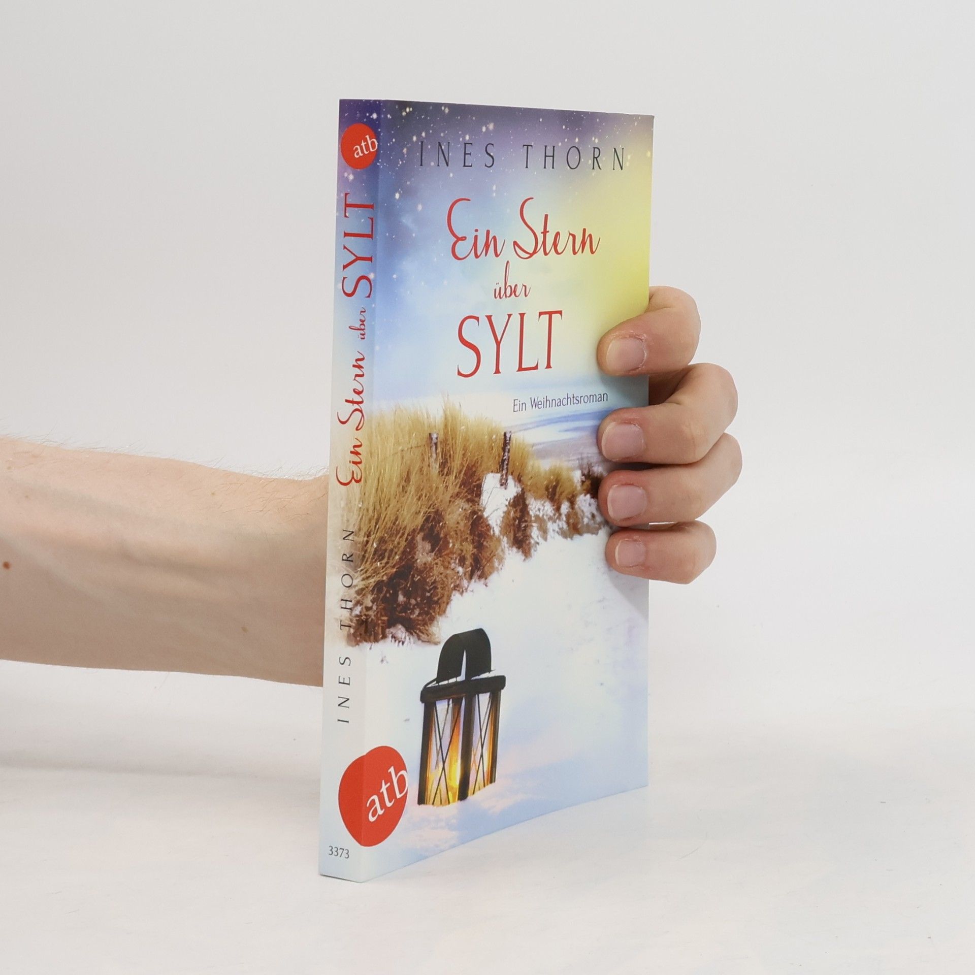 Ines Thorn Ein Stern über Sylt