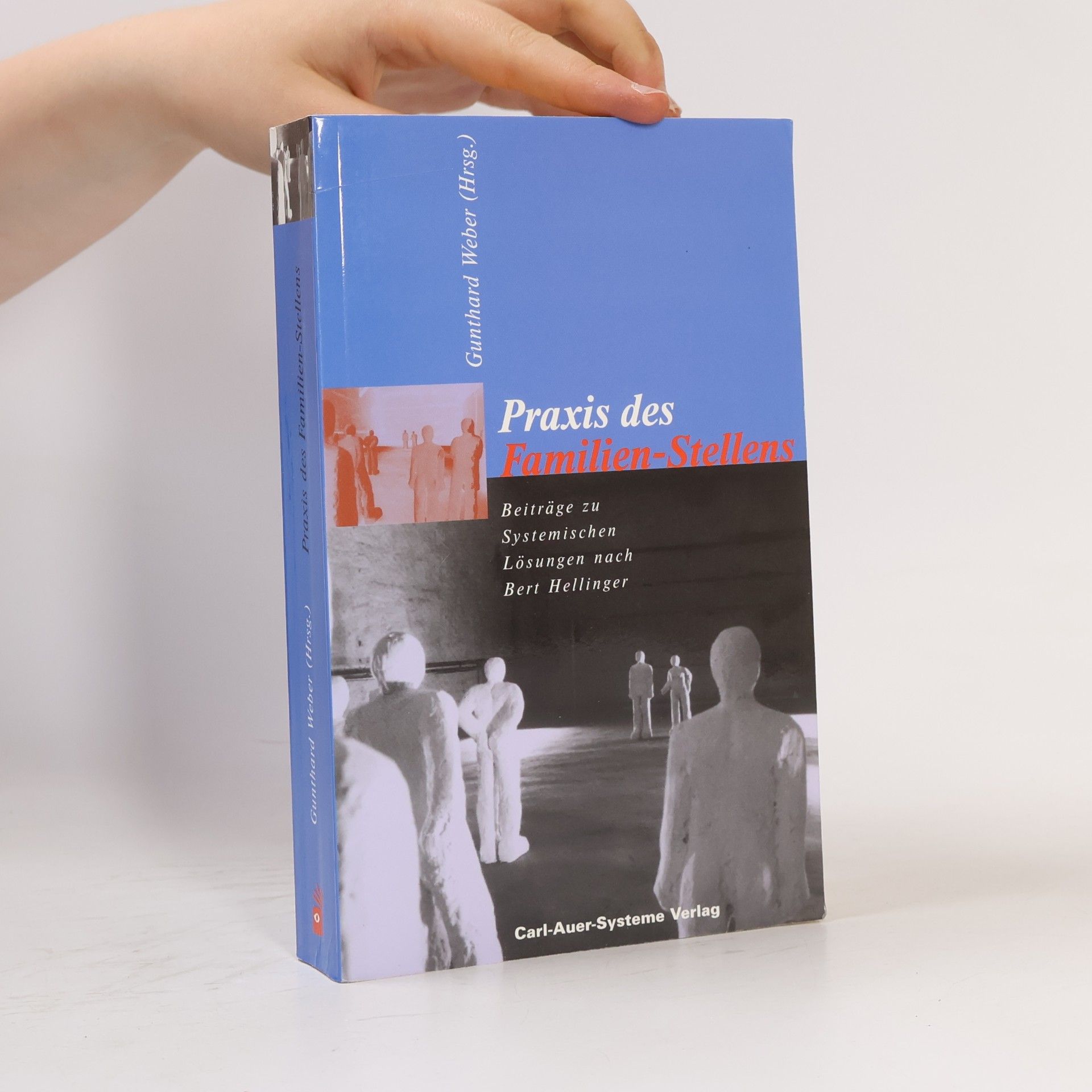 Praxis des Familien-Stellens