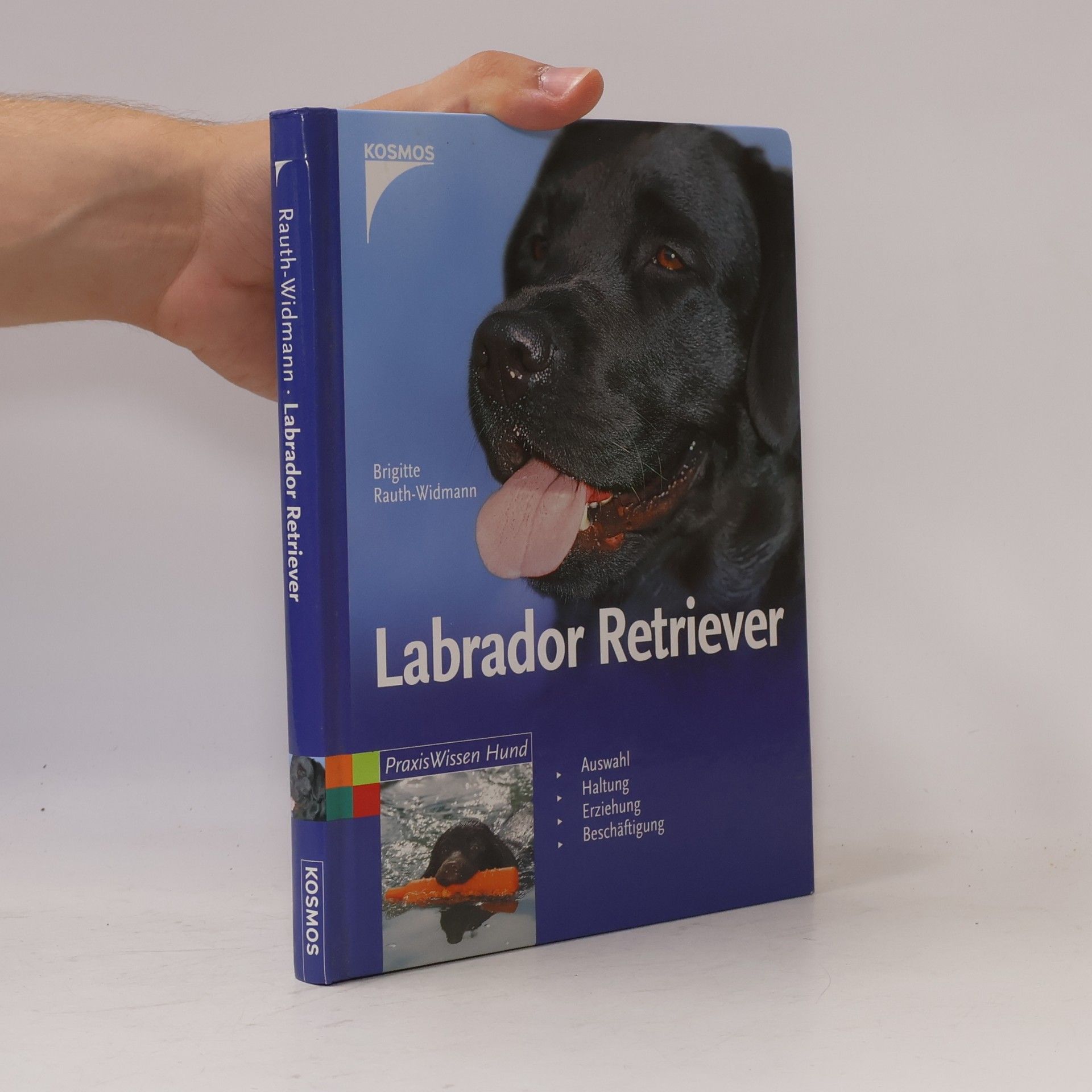 Brigitte Rauth-Widmann Labrador