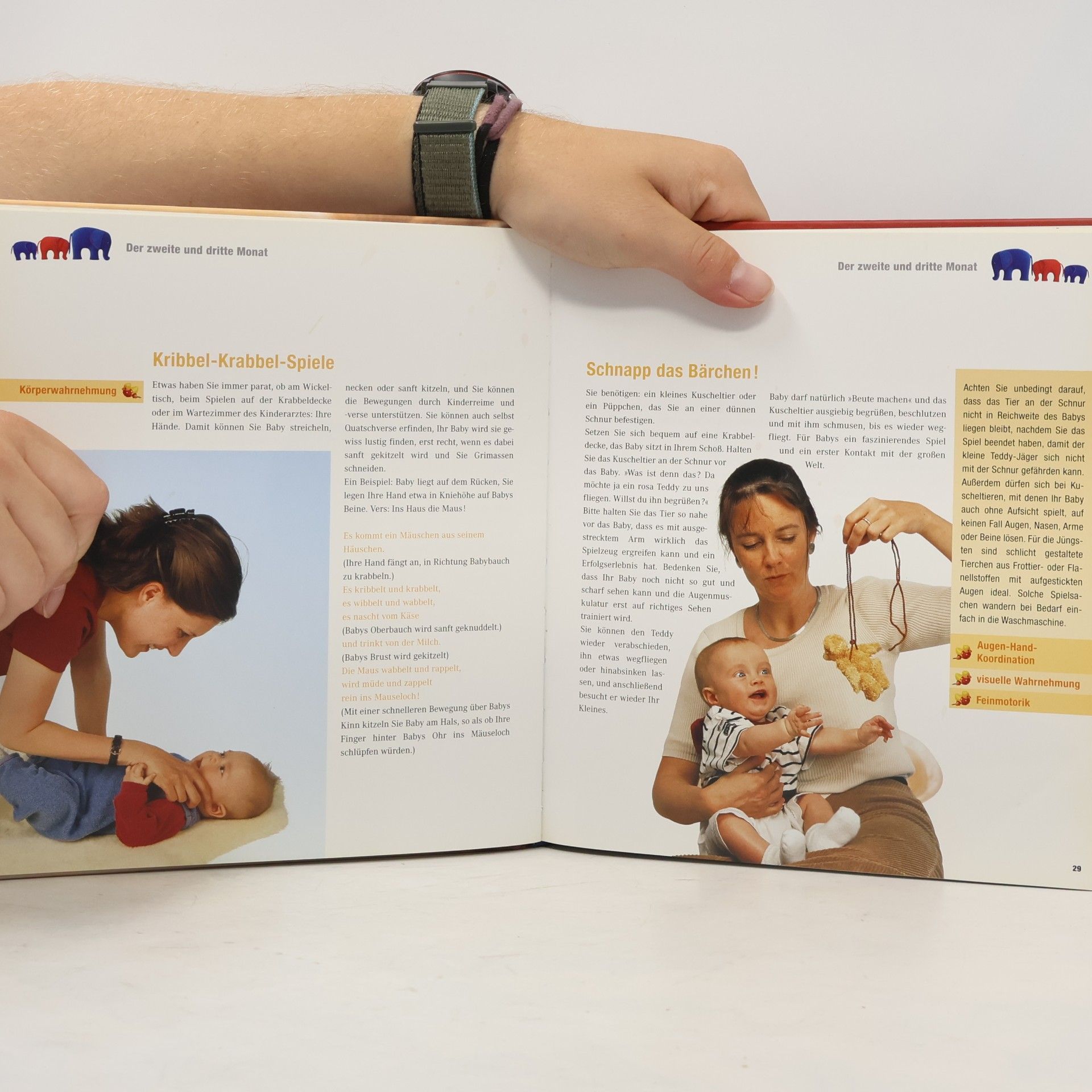 Marianne Loibl Mein Baby spielerisch fördern