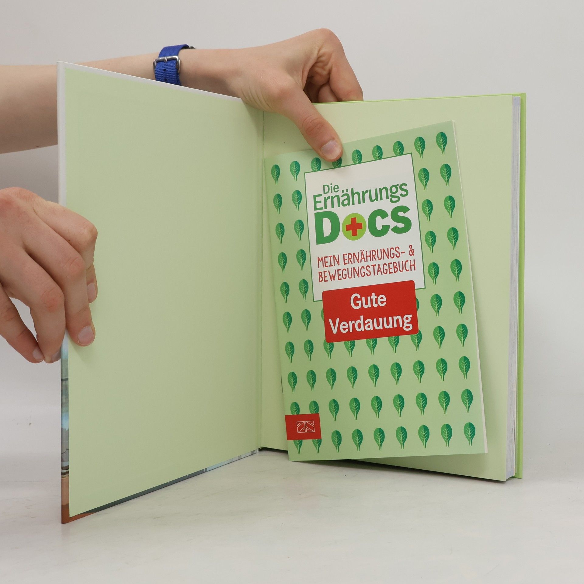 Matthias Riedl Die Ernährungs-Docs - gute Verdauung