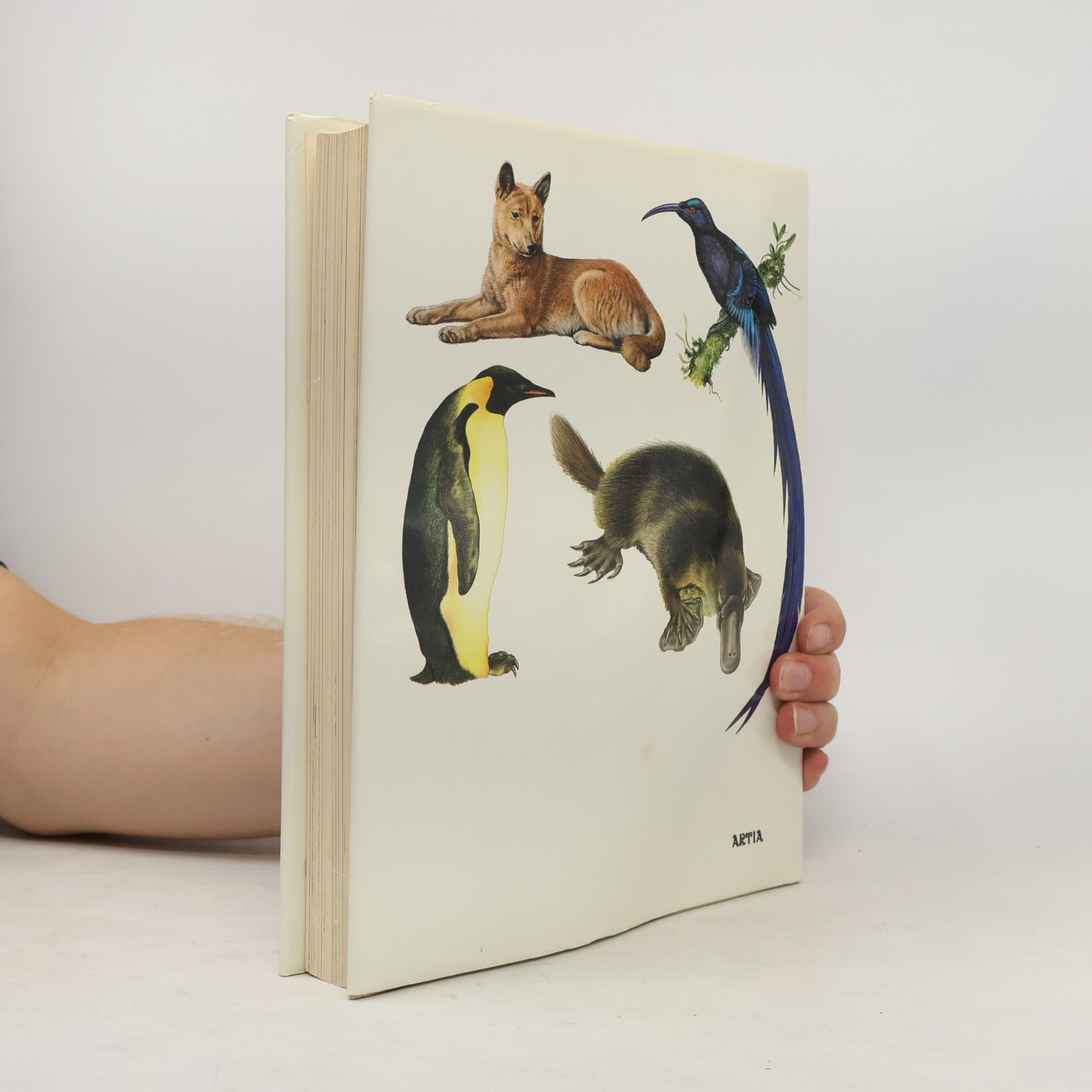 Autores varios TierWelt Australiens