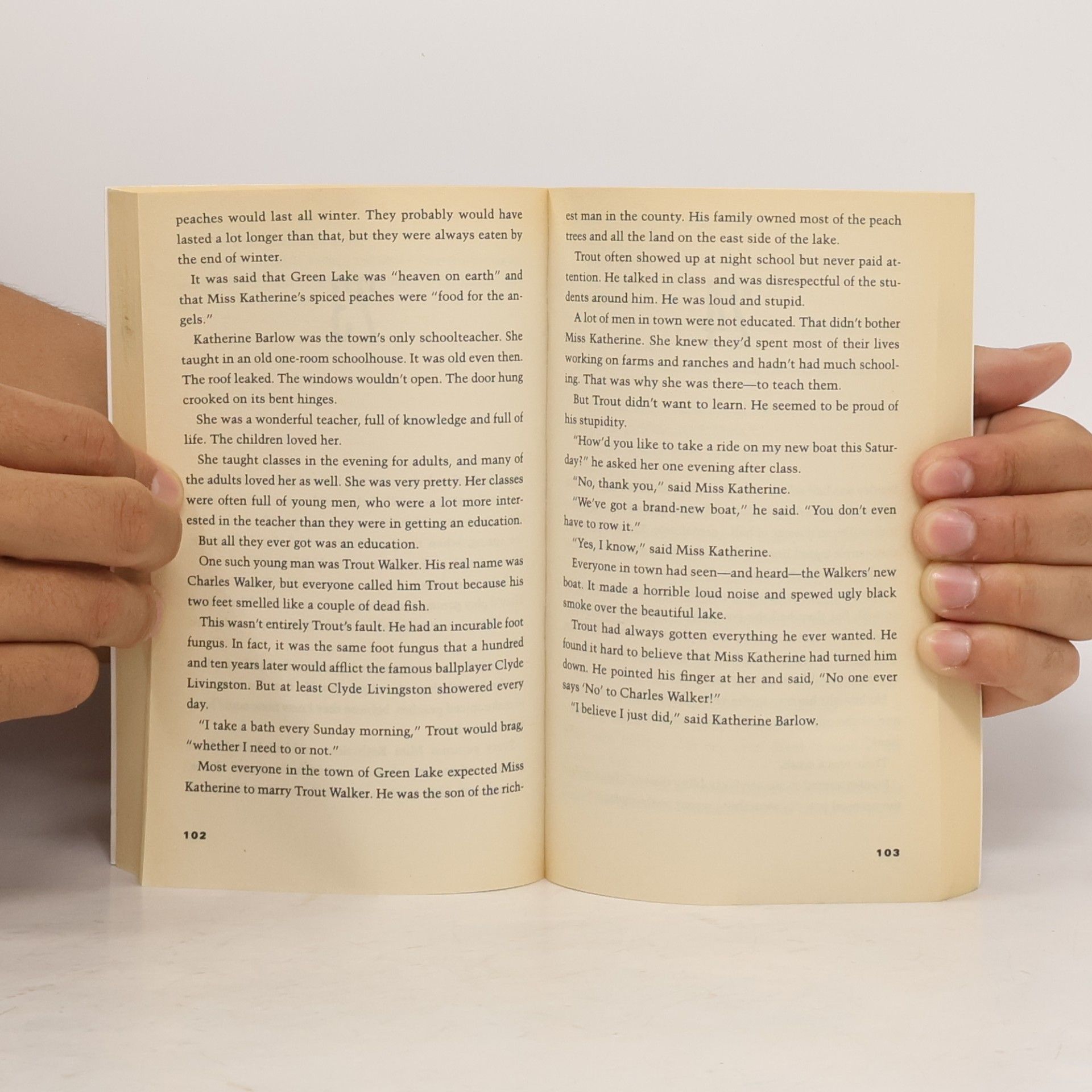 Louis Sachar Holes