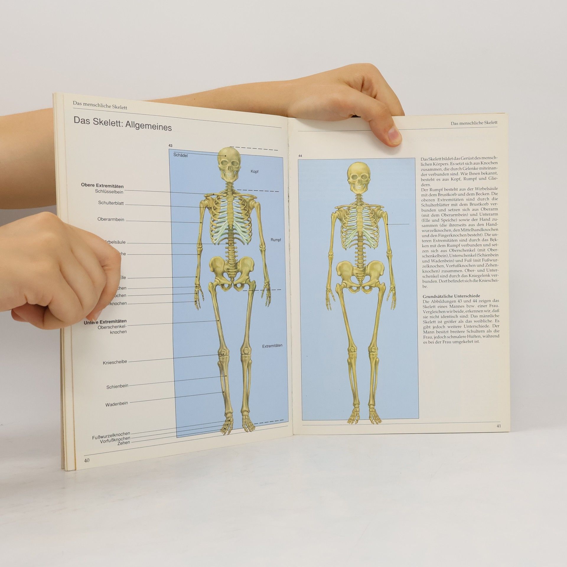 José María Parramón Wie zeichne ich die Anatomie des Körpers
