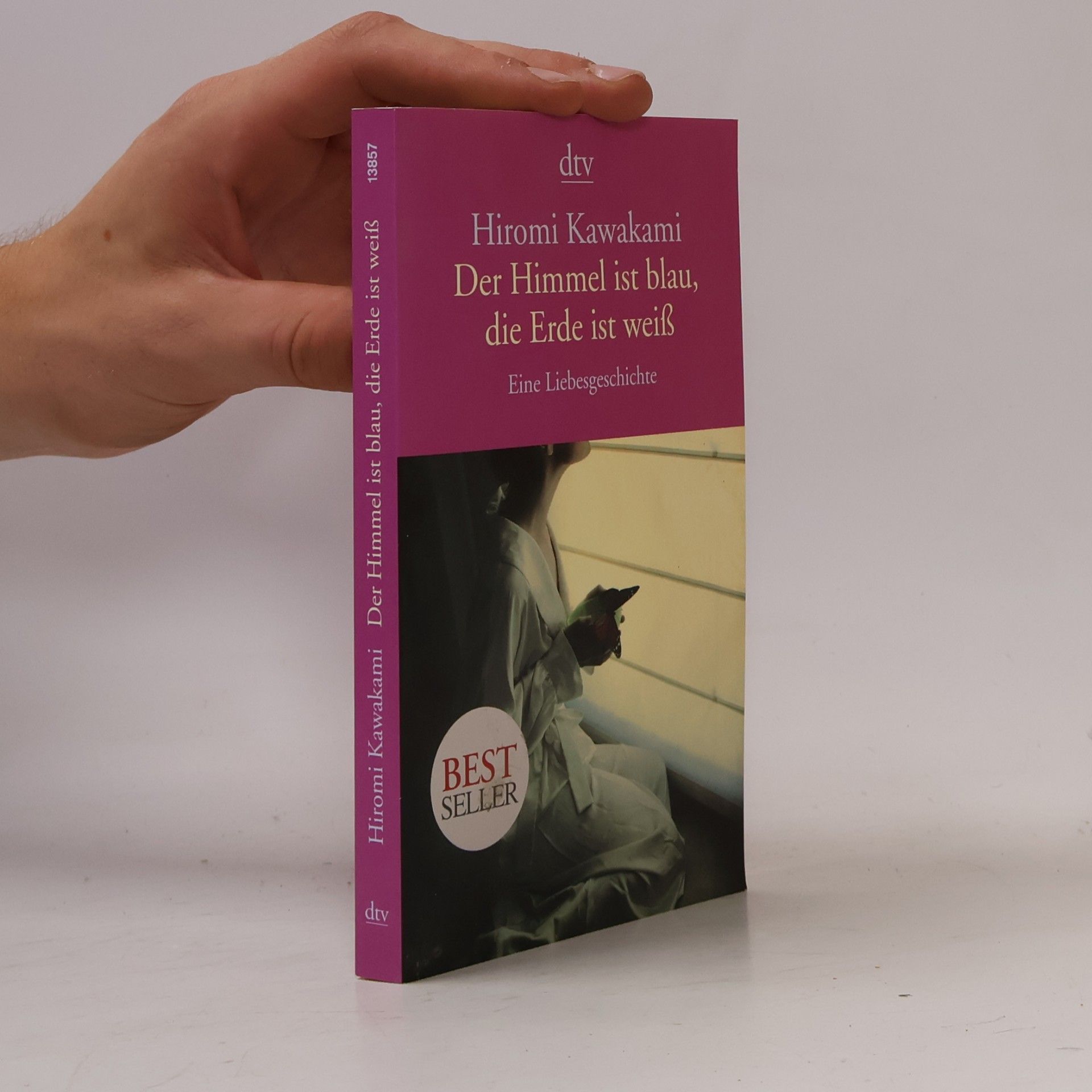 Hiromi Kawakami Der Himmel ist blau, die Erde ist weiß