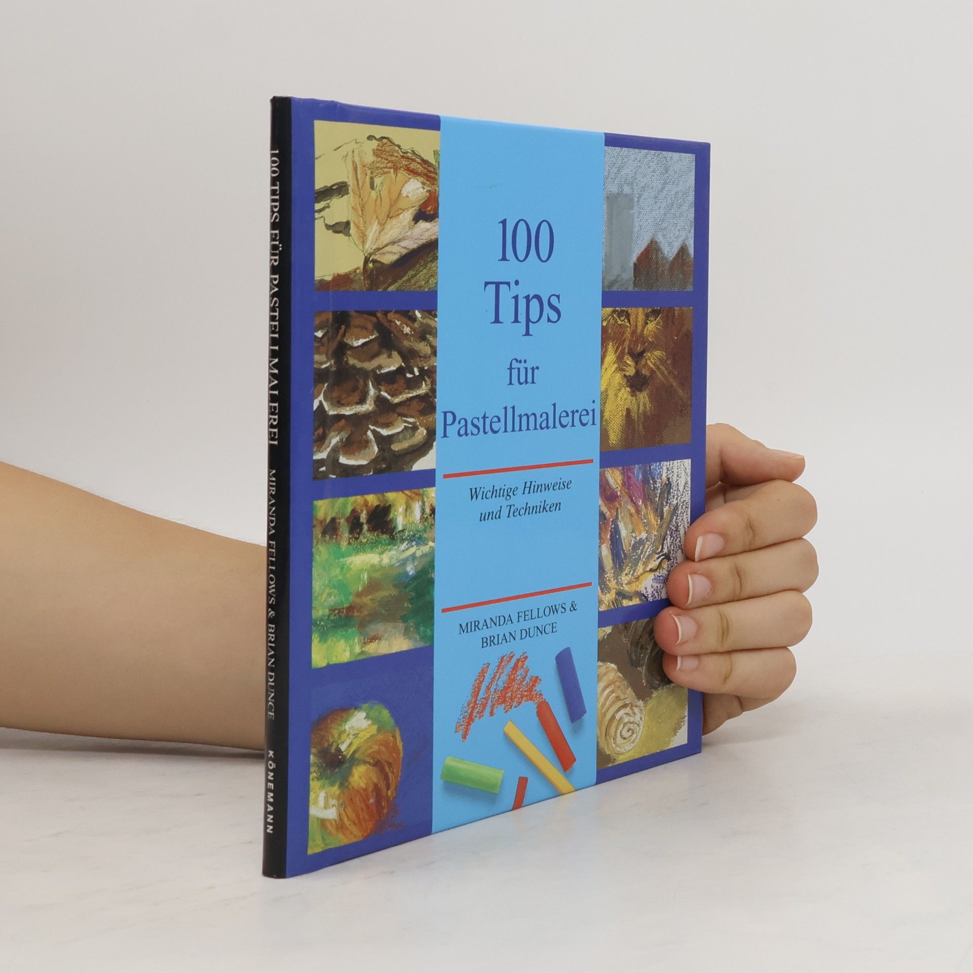 Miranda Fellows 100 Tips für Pastellmalerei