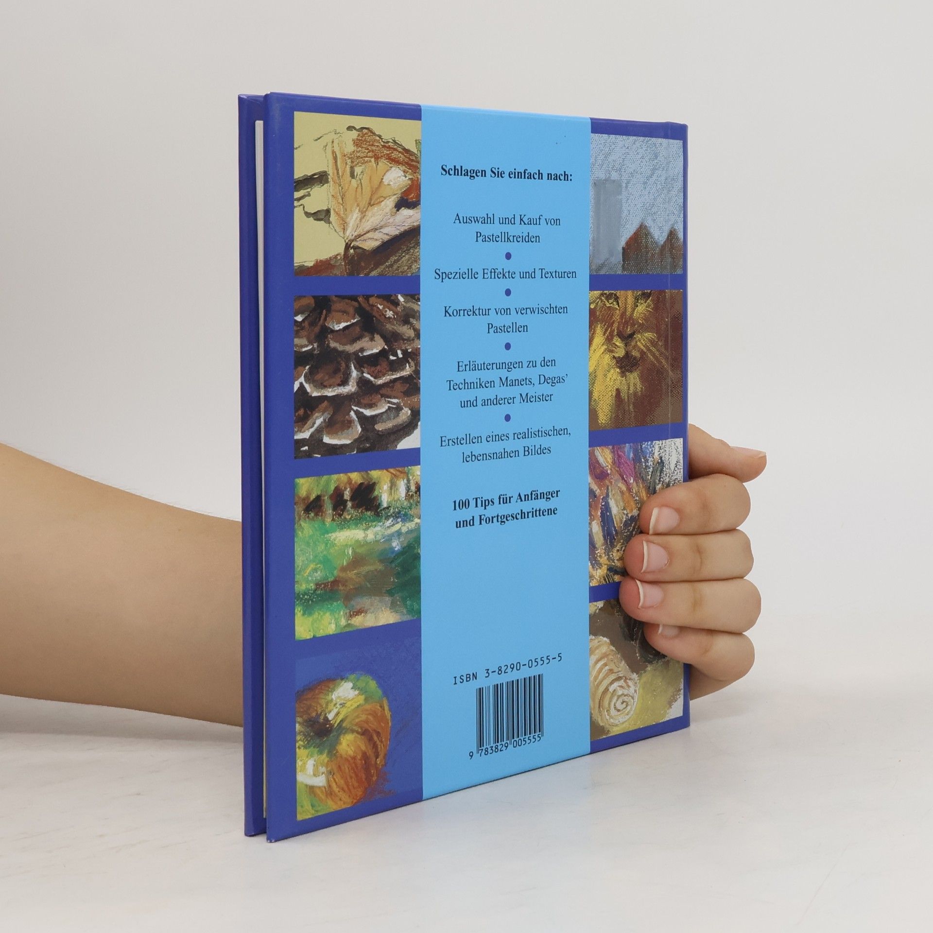 Miranda Fellows 100 Tips für Pastellmalerei