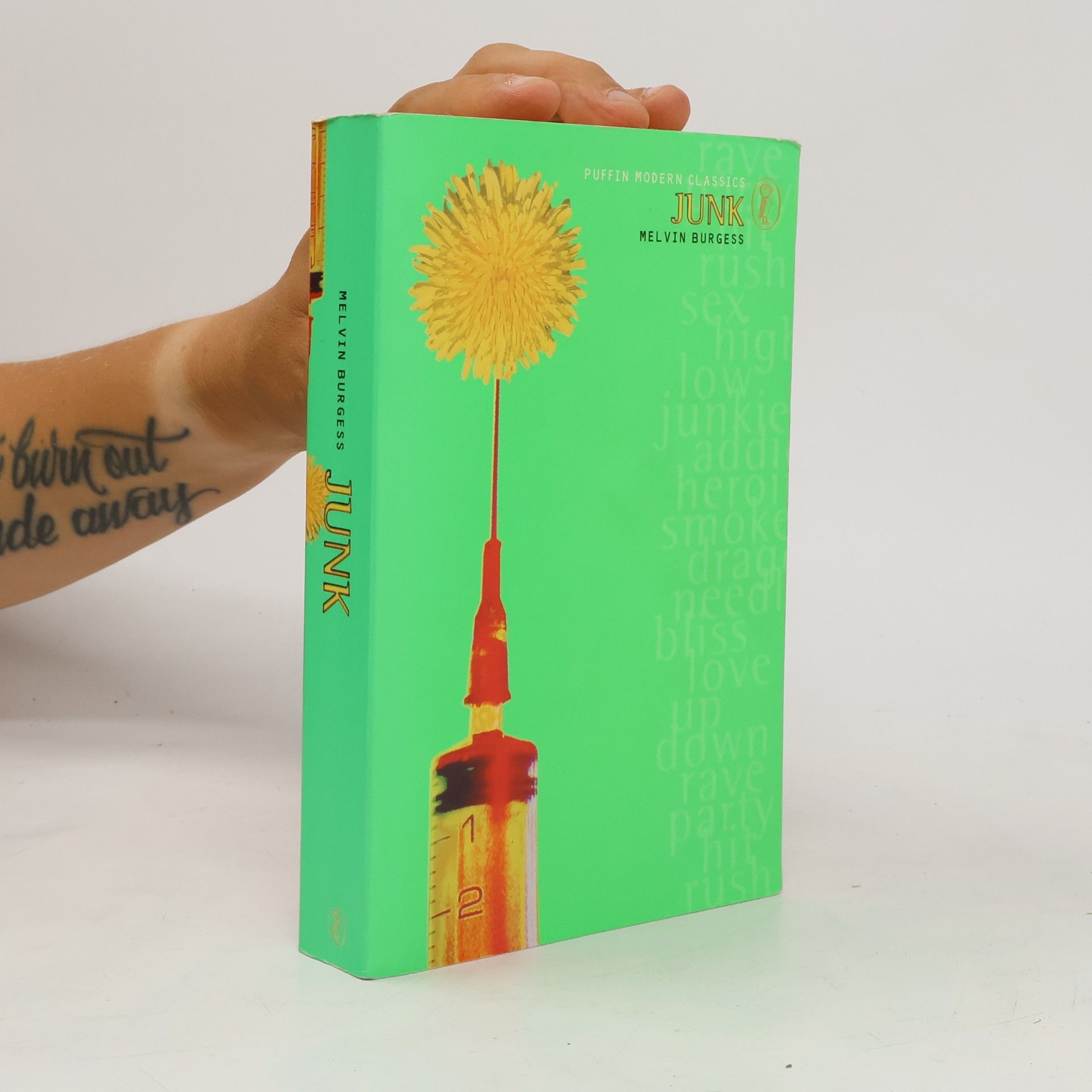 Puffin Modern Classics: Junk